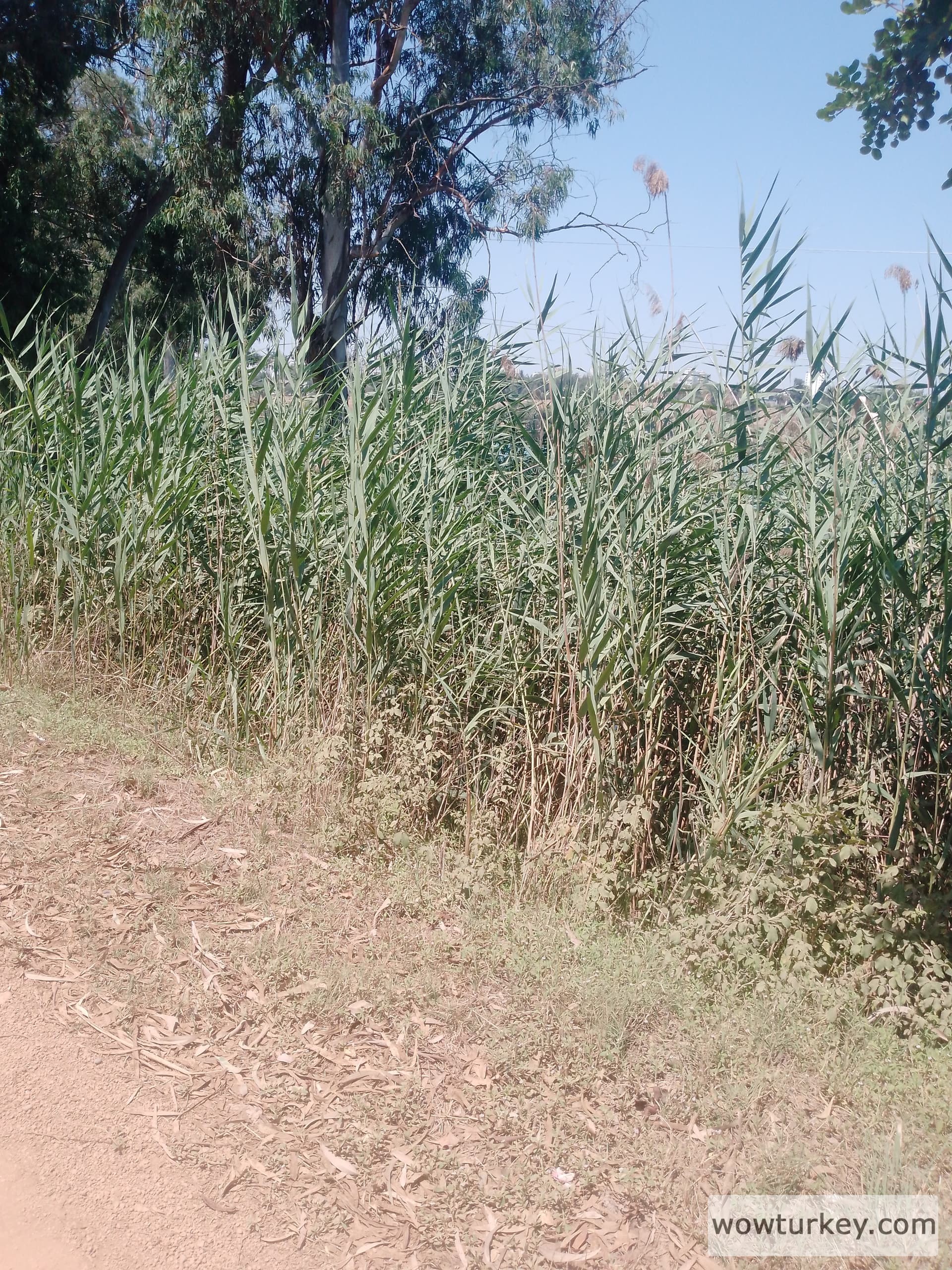 IMG_20240801_120236_318