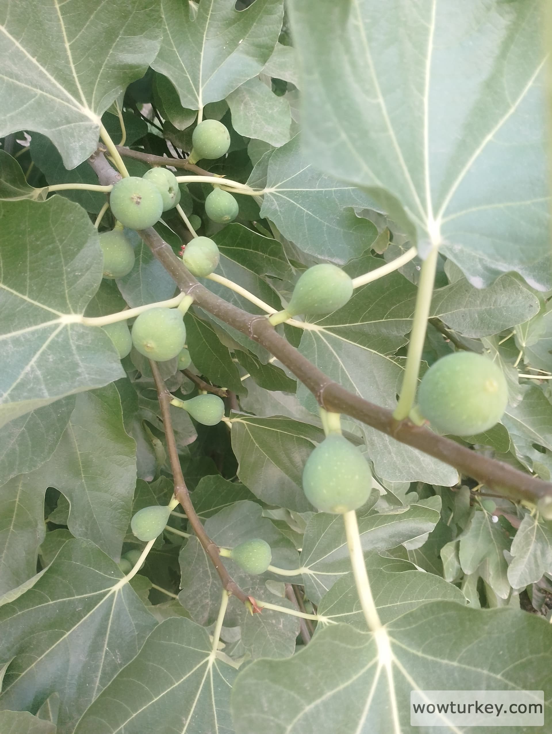 IMG_20240803_184617_HDR