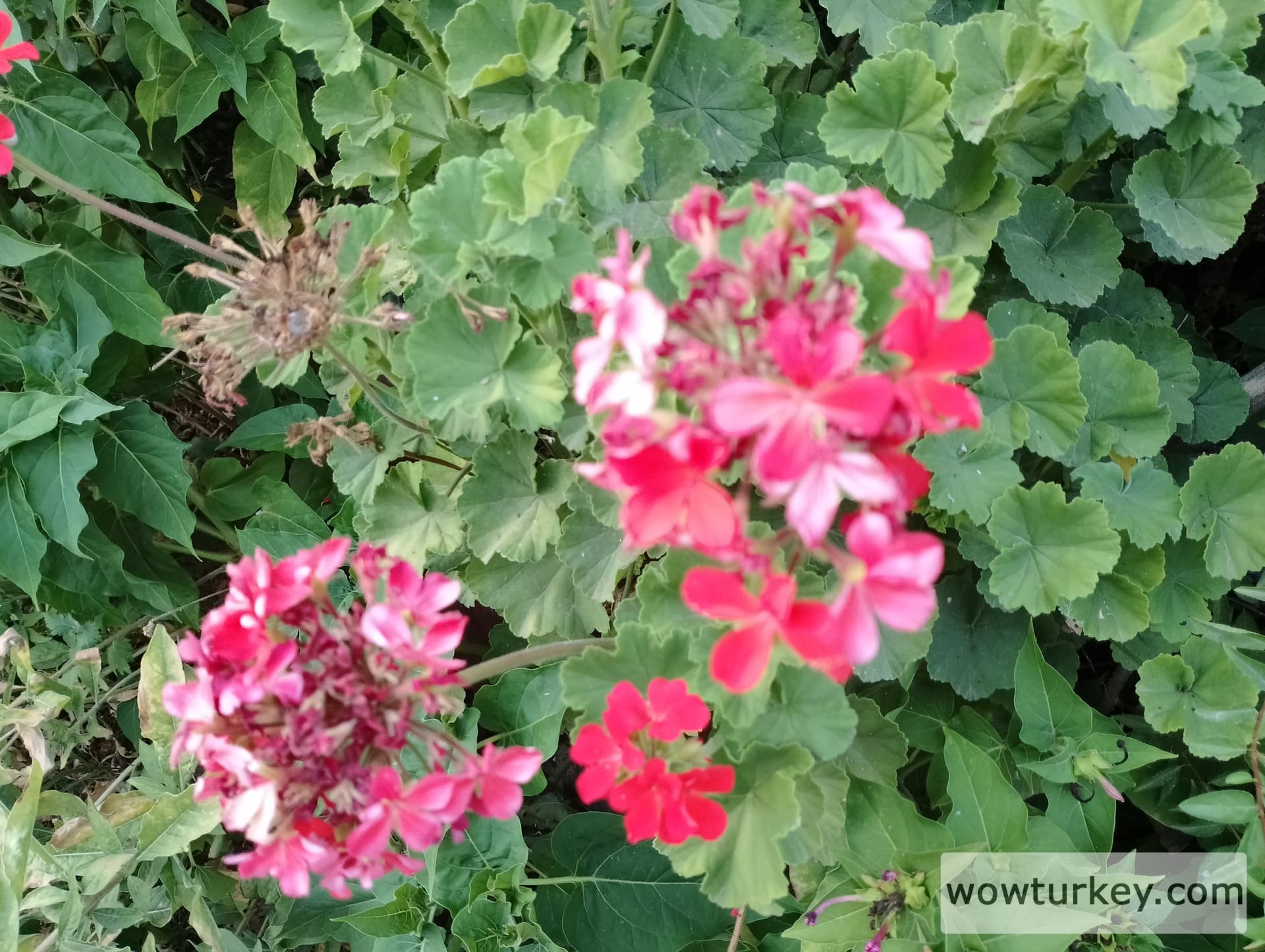 IMG_20240803_184905_HDR