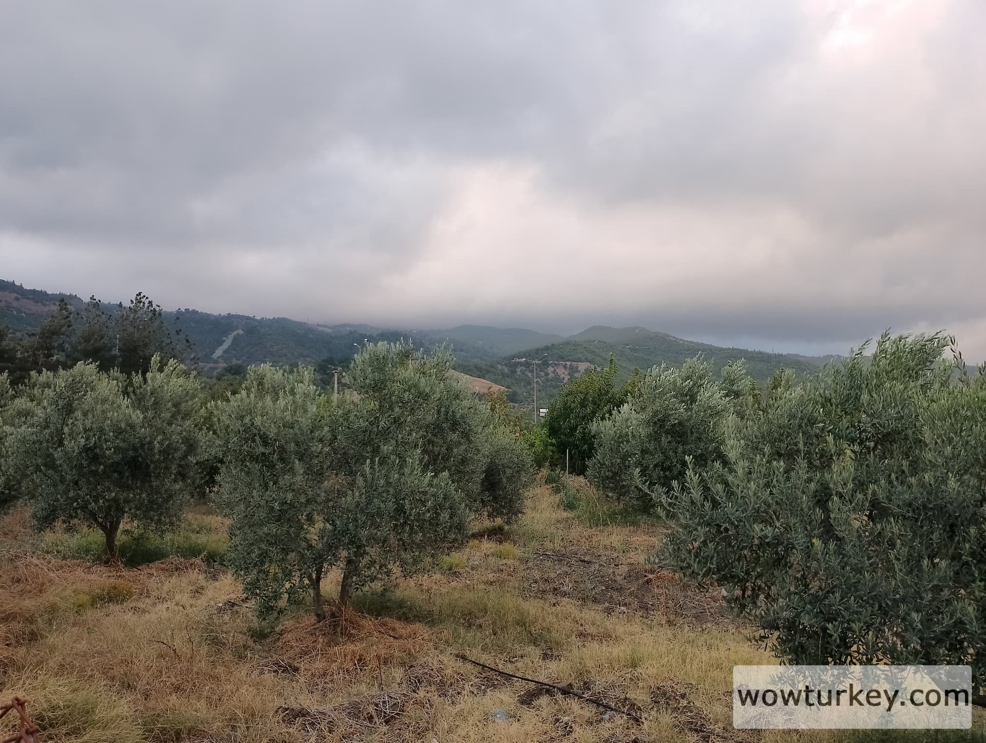 IMG_20240803_185043_HDR