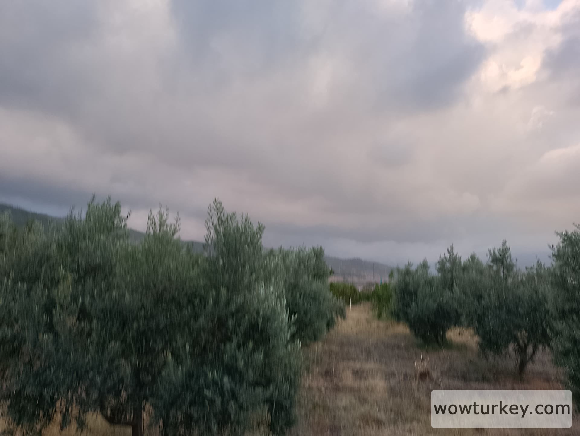 IMG_20240803_185047_HDR