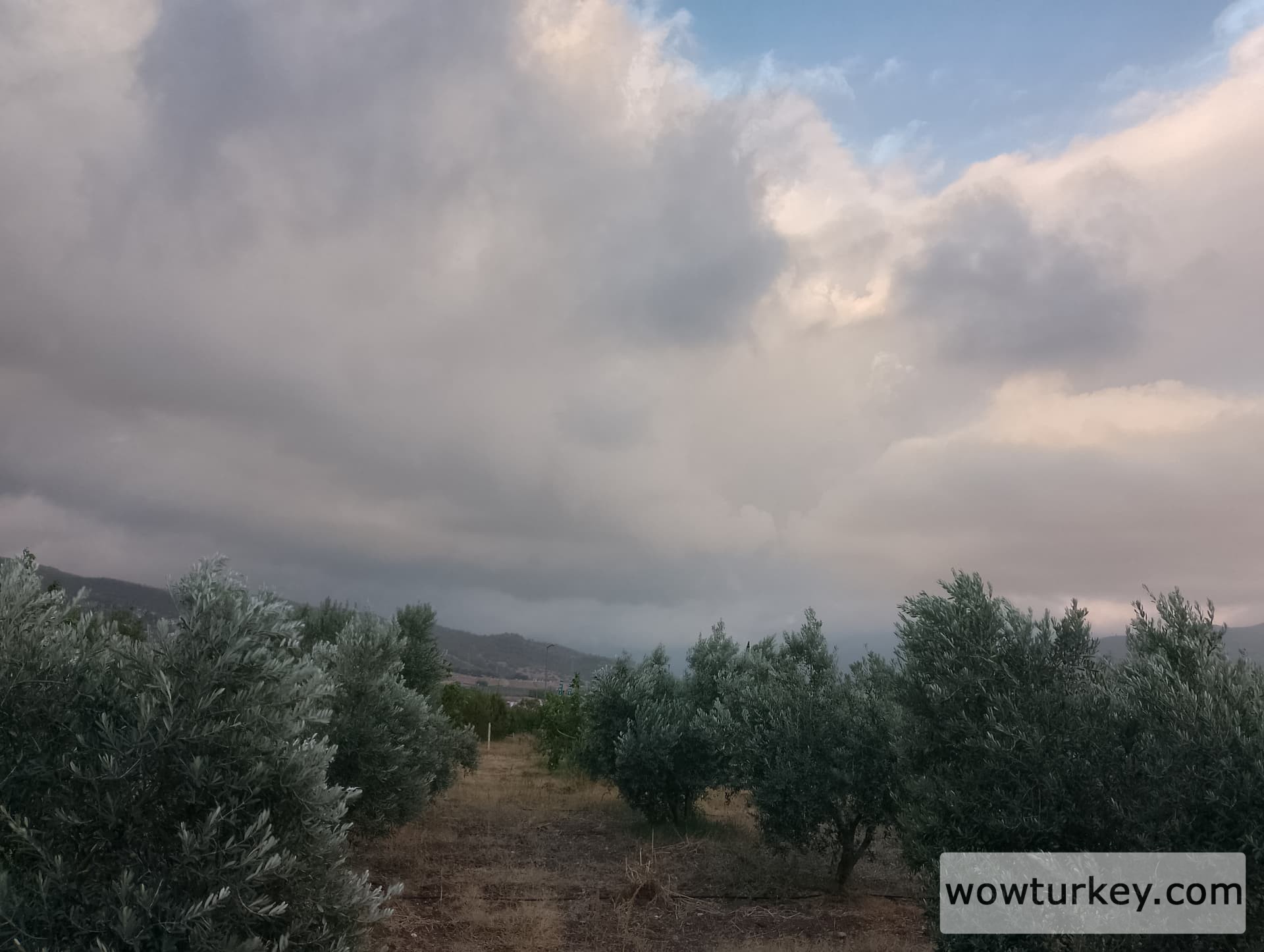 IMG_20240803_185051_HDR