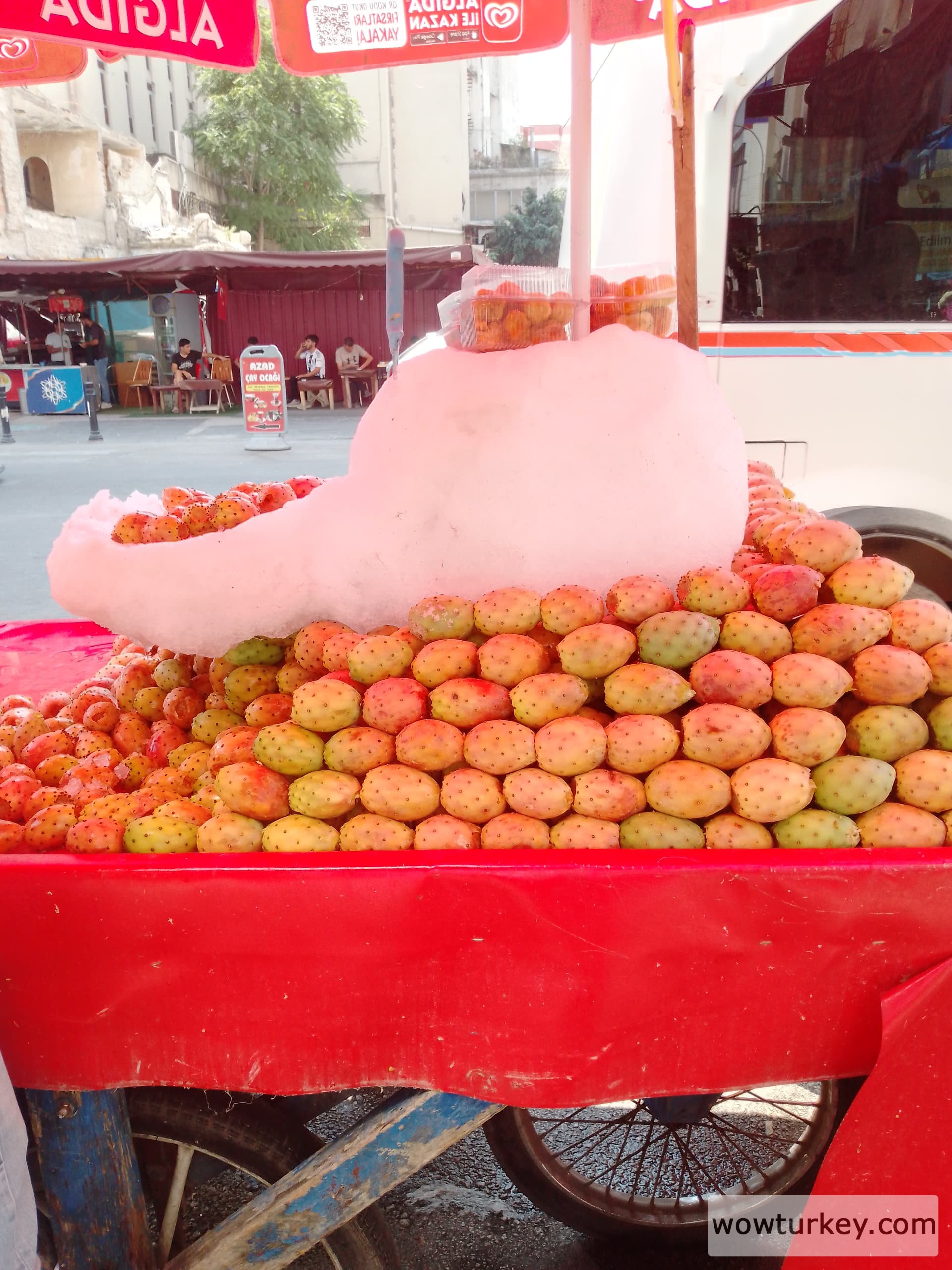 IMG_20240809_112547_934