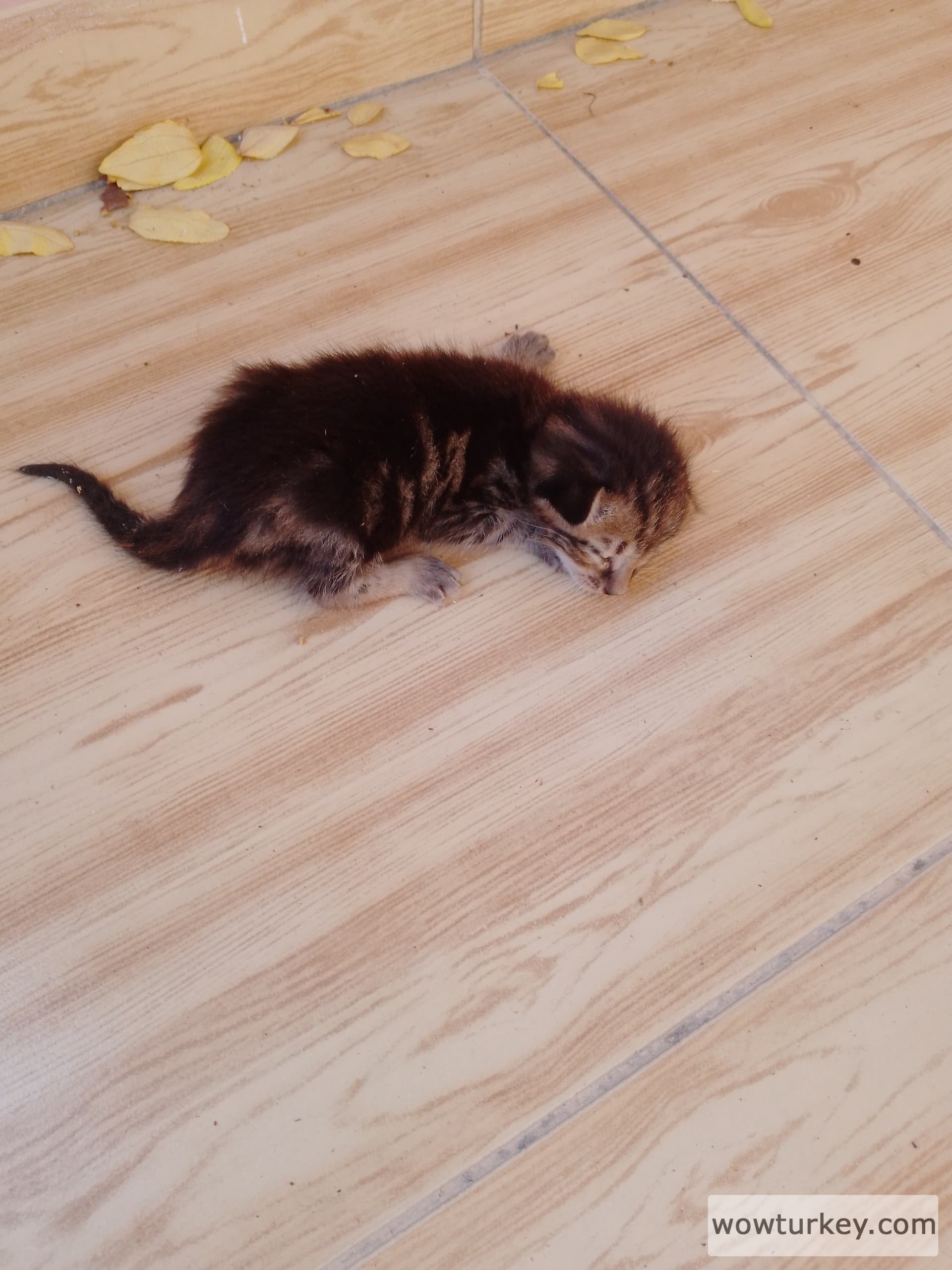 IMG_20240811_092029_461