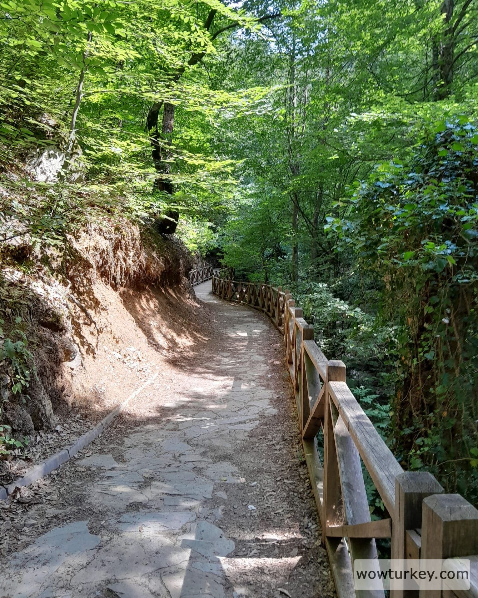 IMG_20240815_143757_970