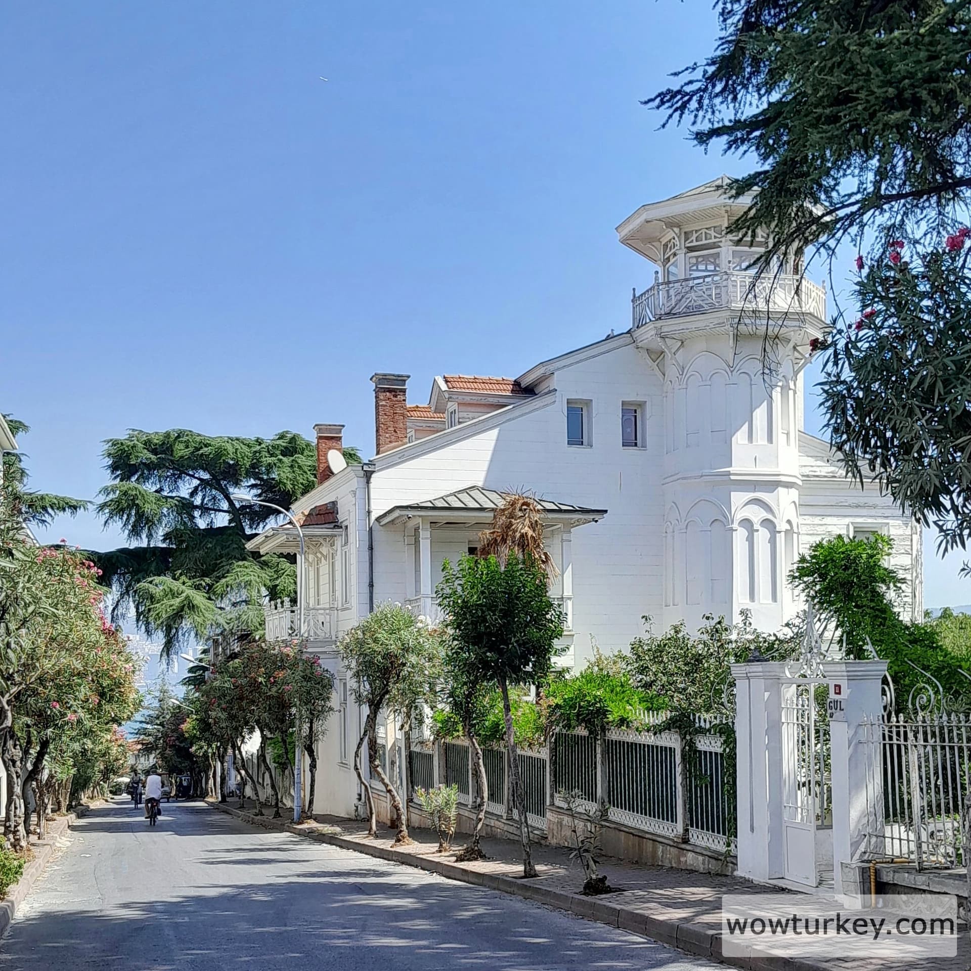 IMG_20240822_203539_565