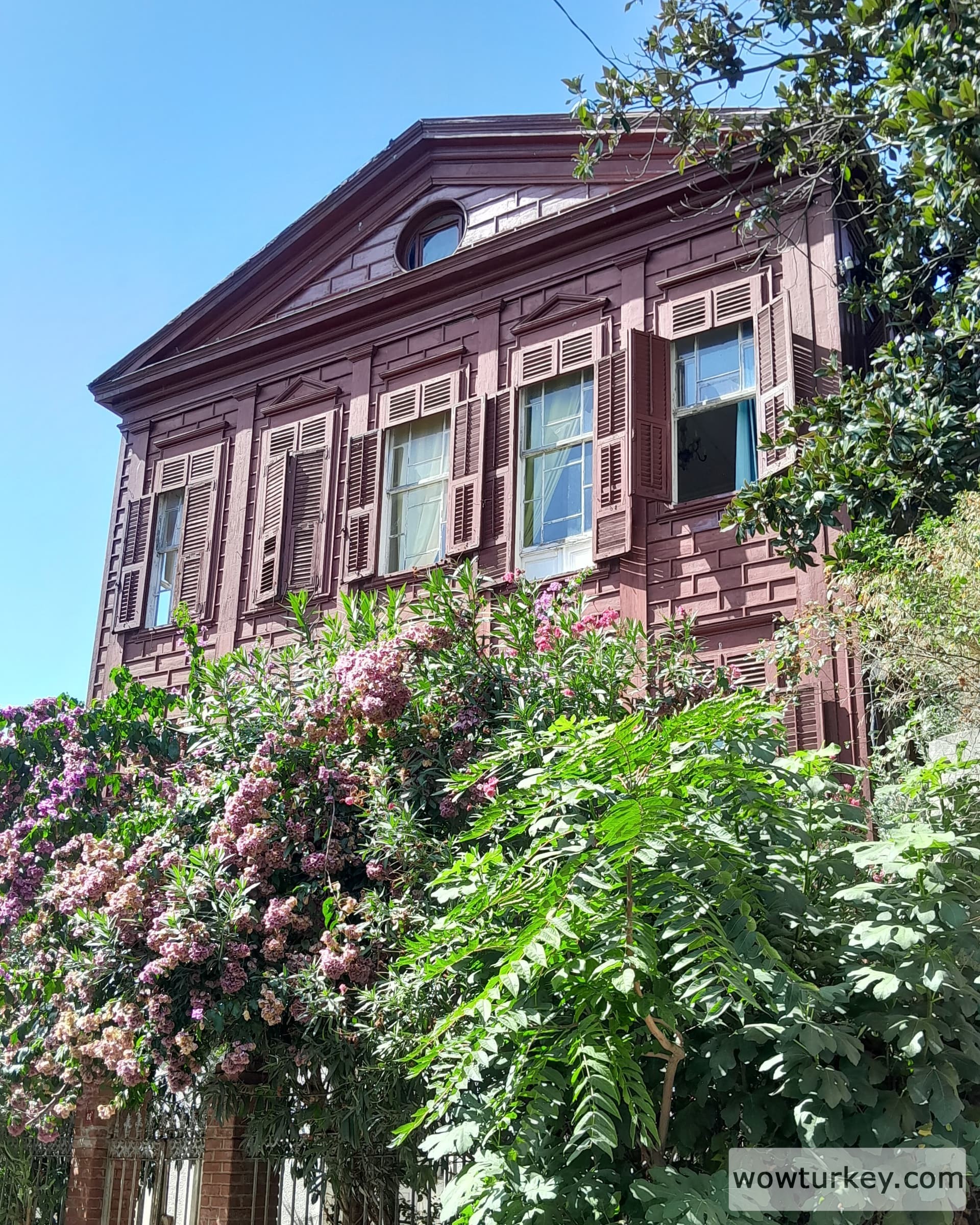 IMG_20240823_064754_688