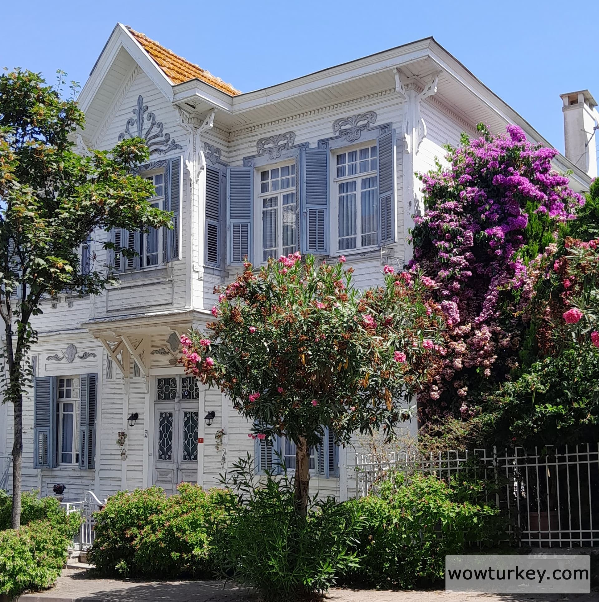 IMG_20240823_094504_318