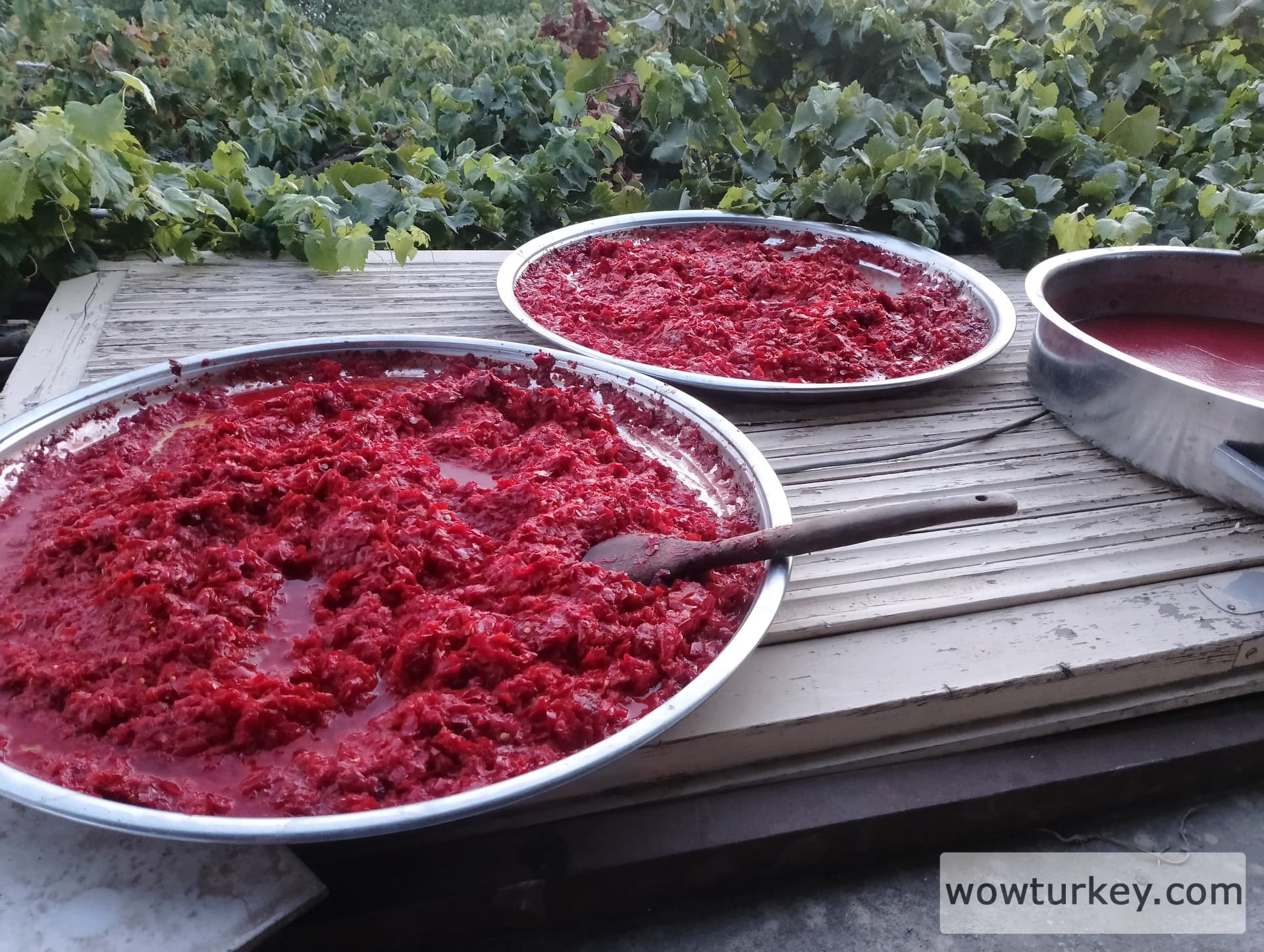 IMG_20240823_192349_HDR