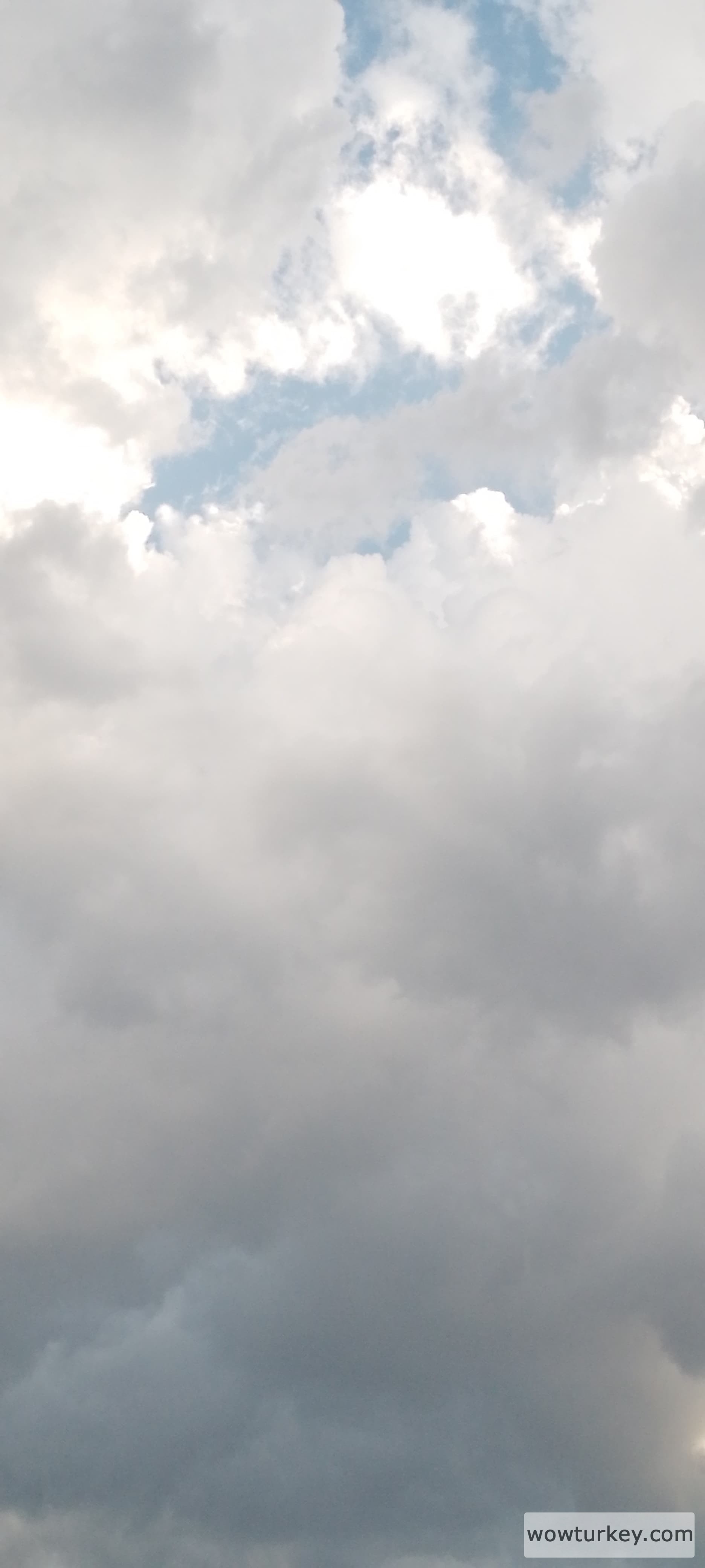 IMG_20240826_172219_420