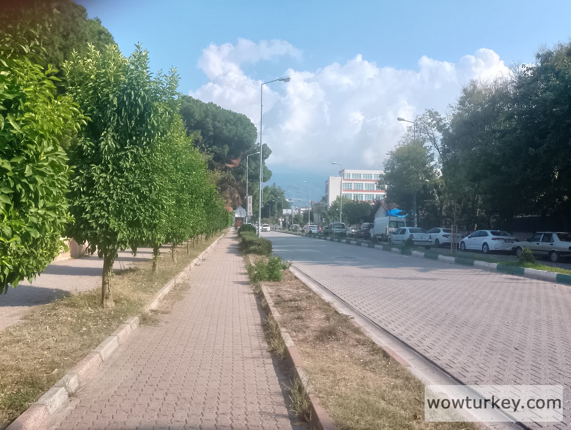 IMG_20240828_162337_HDR