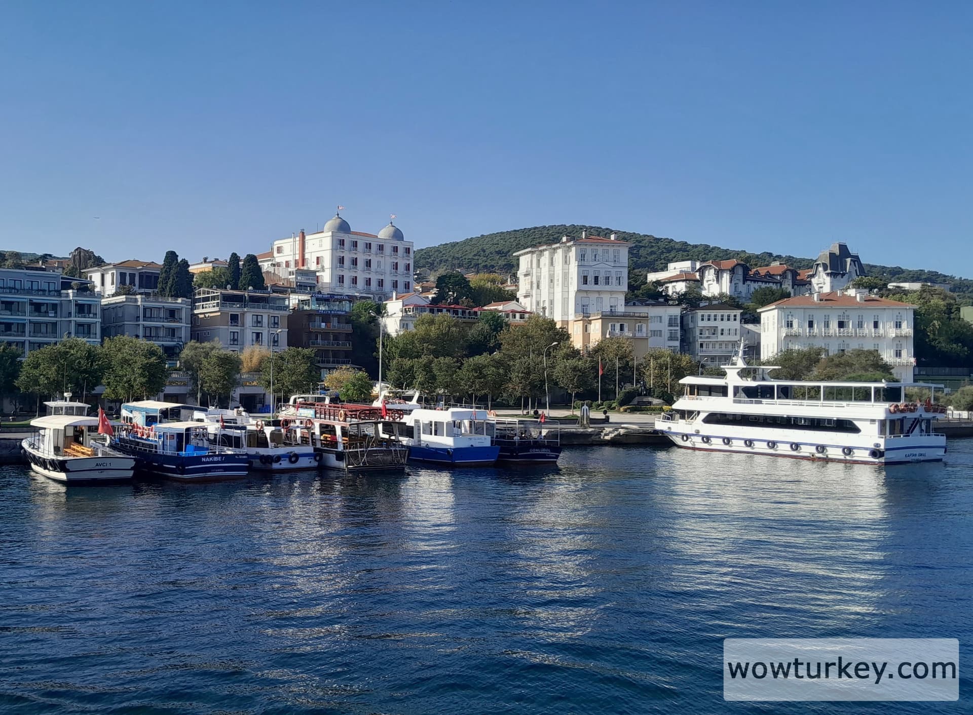 IMG_20240828_213016_896