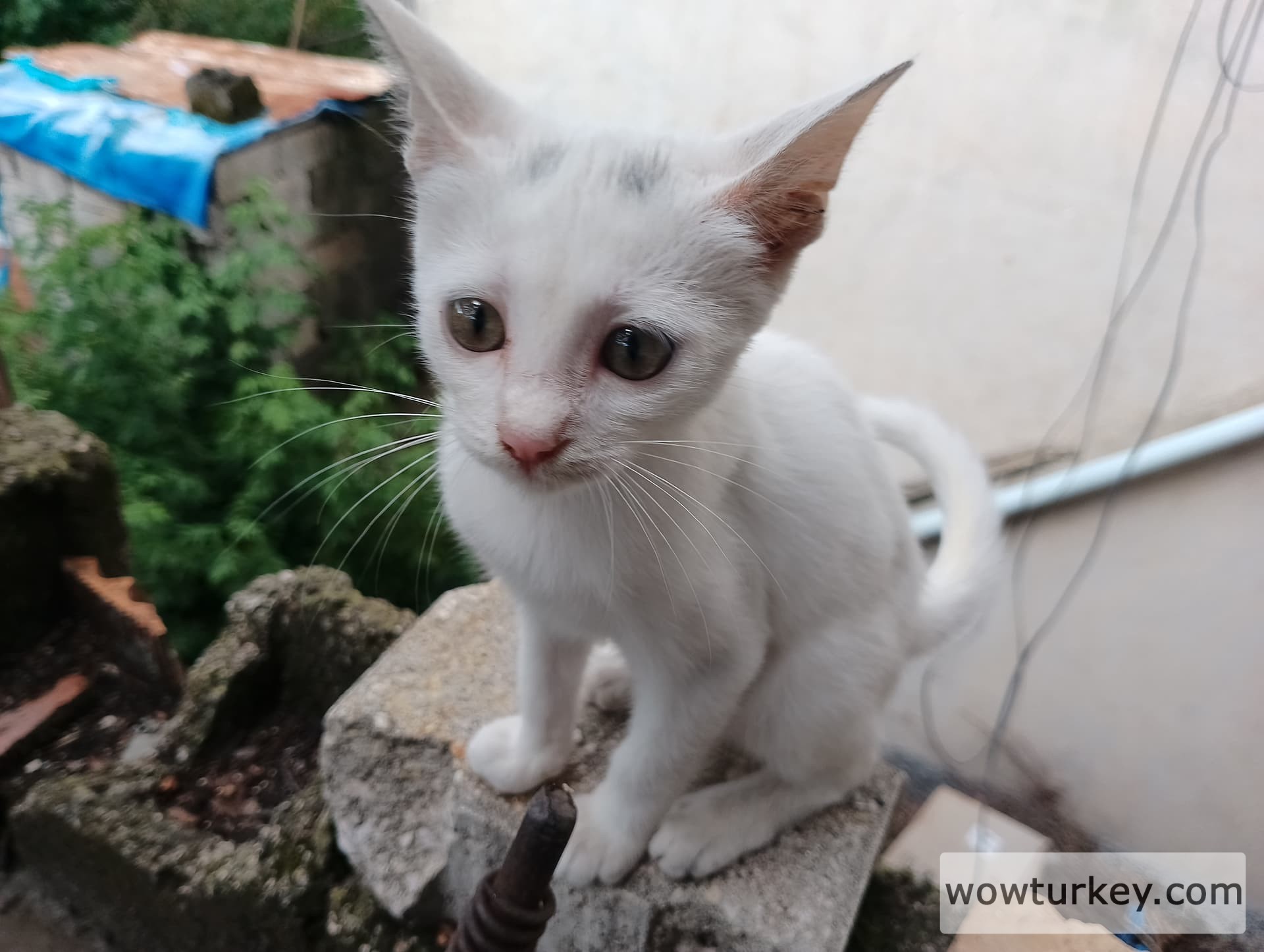 IMG_20240901_115802_HDR