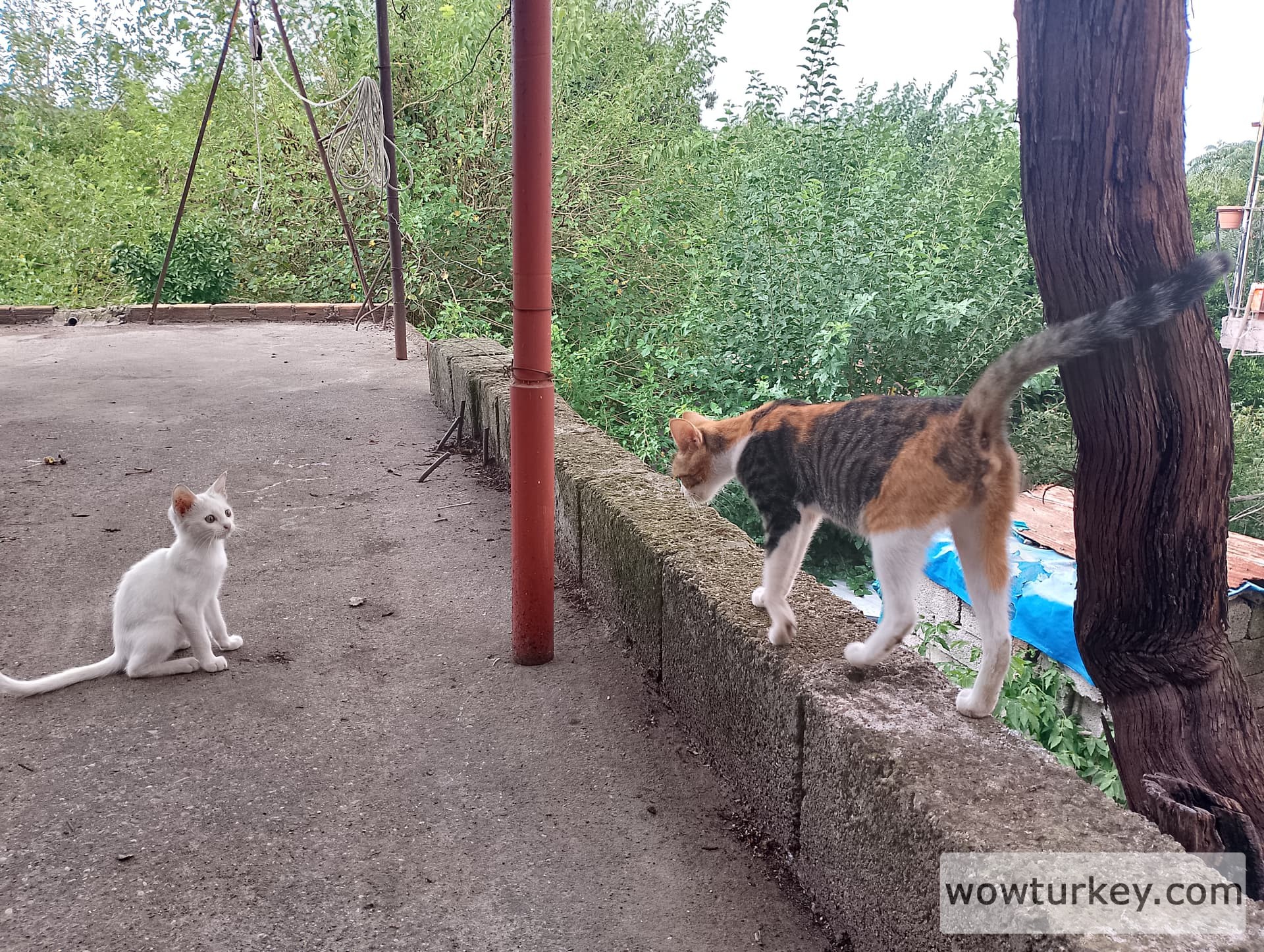 IMG_20240901_115811_HDR