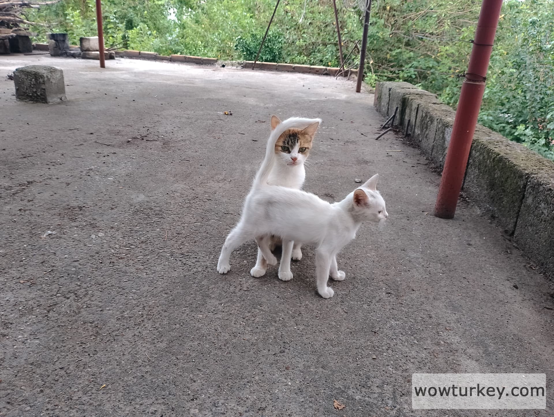 IMG_20240901_115817_HDR