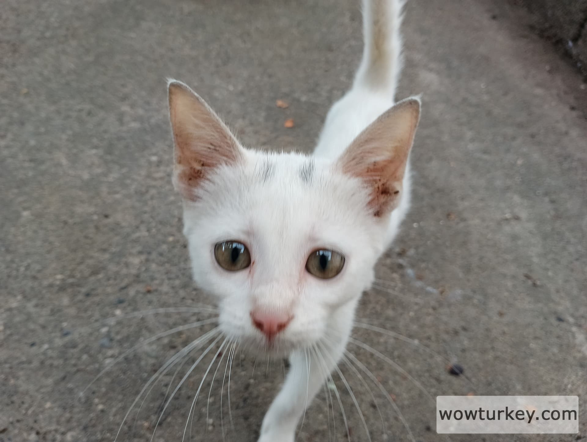 IMG_20240901_115822_HDR