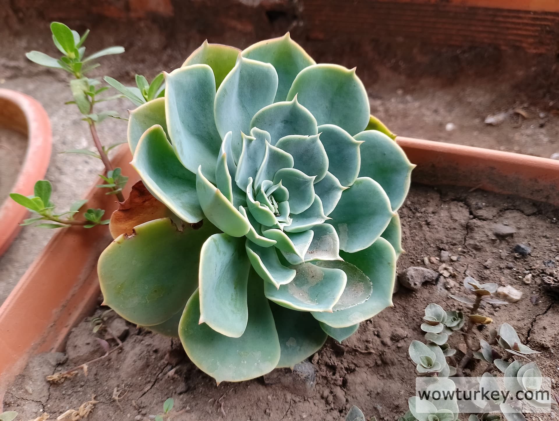 IMG_20240901_125313_HDR