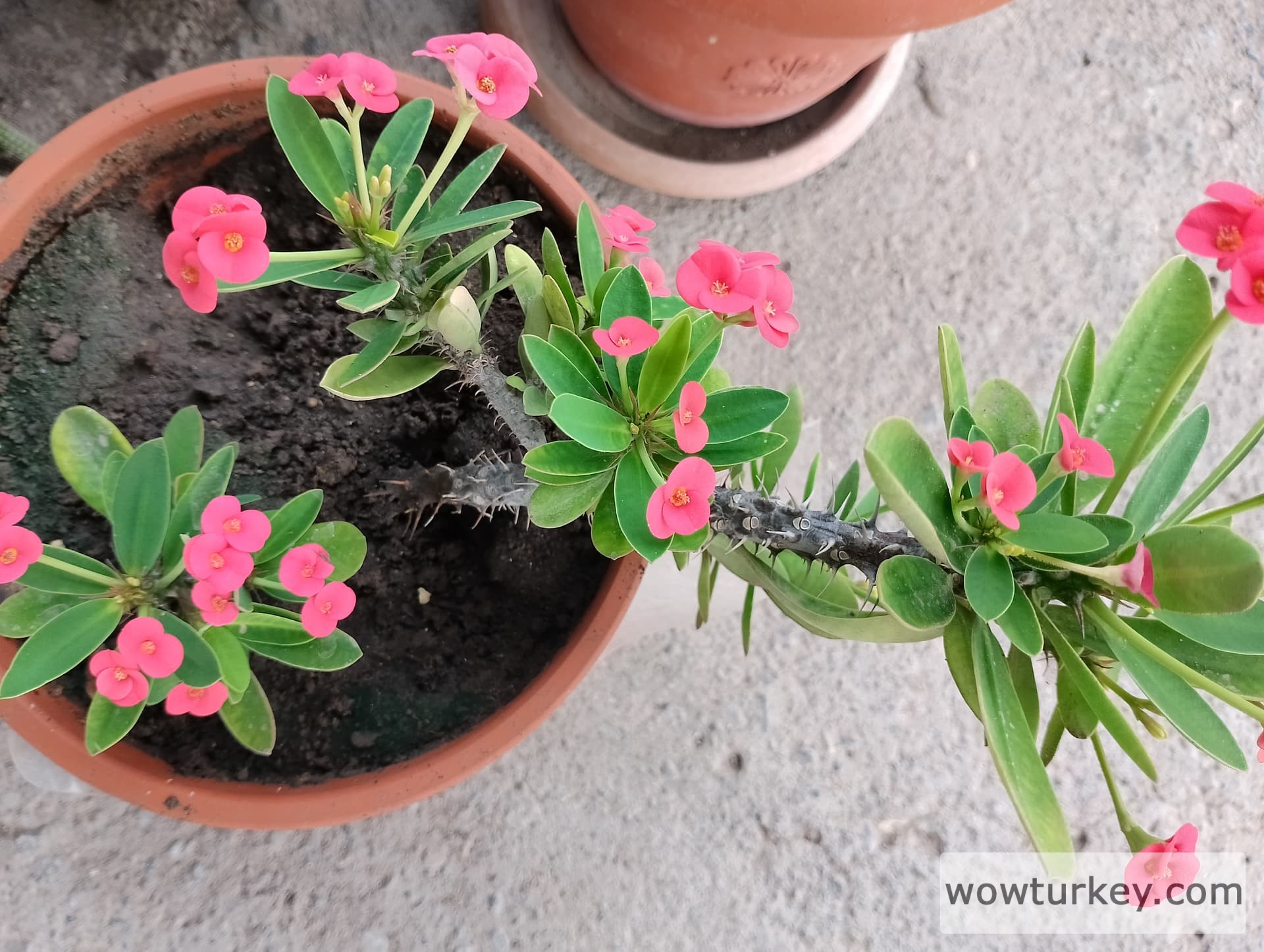 IMG_20240901_125353_HDR