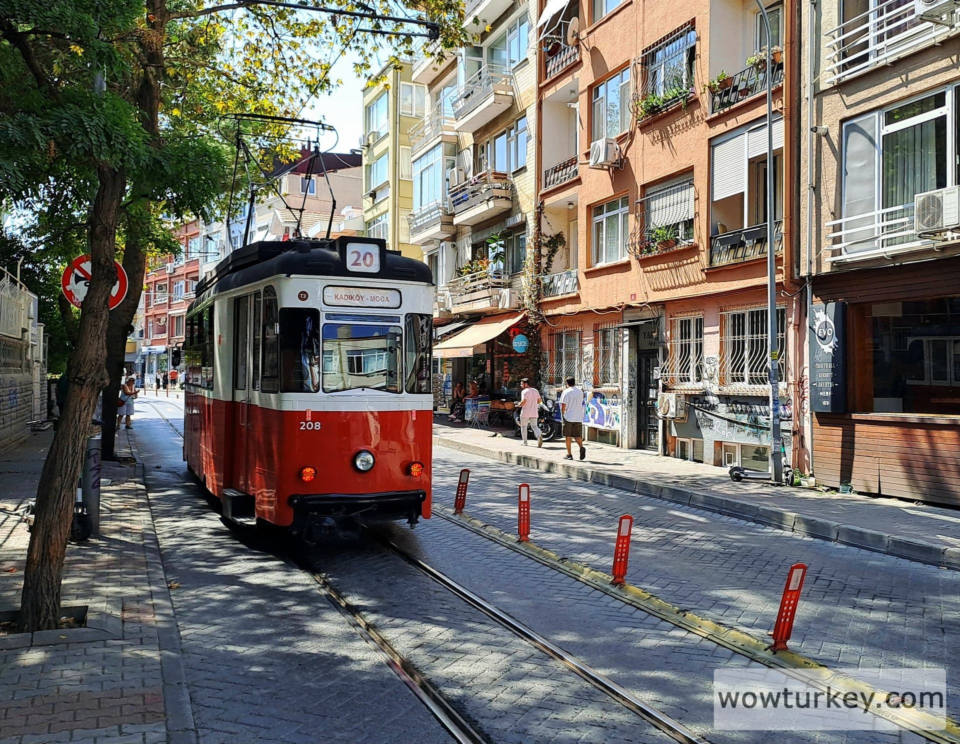 IMG_20240907_224755_347