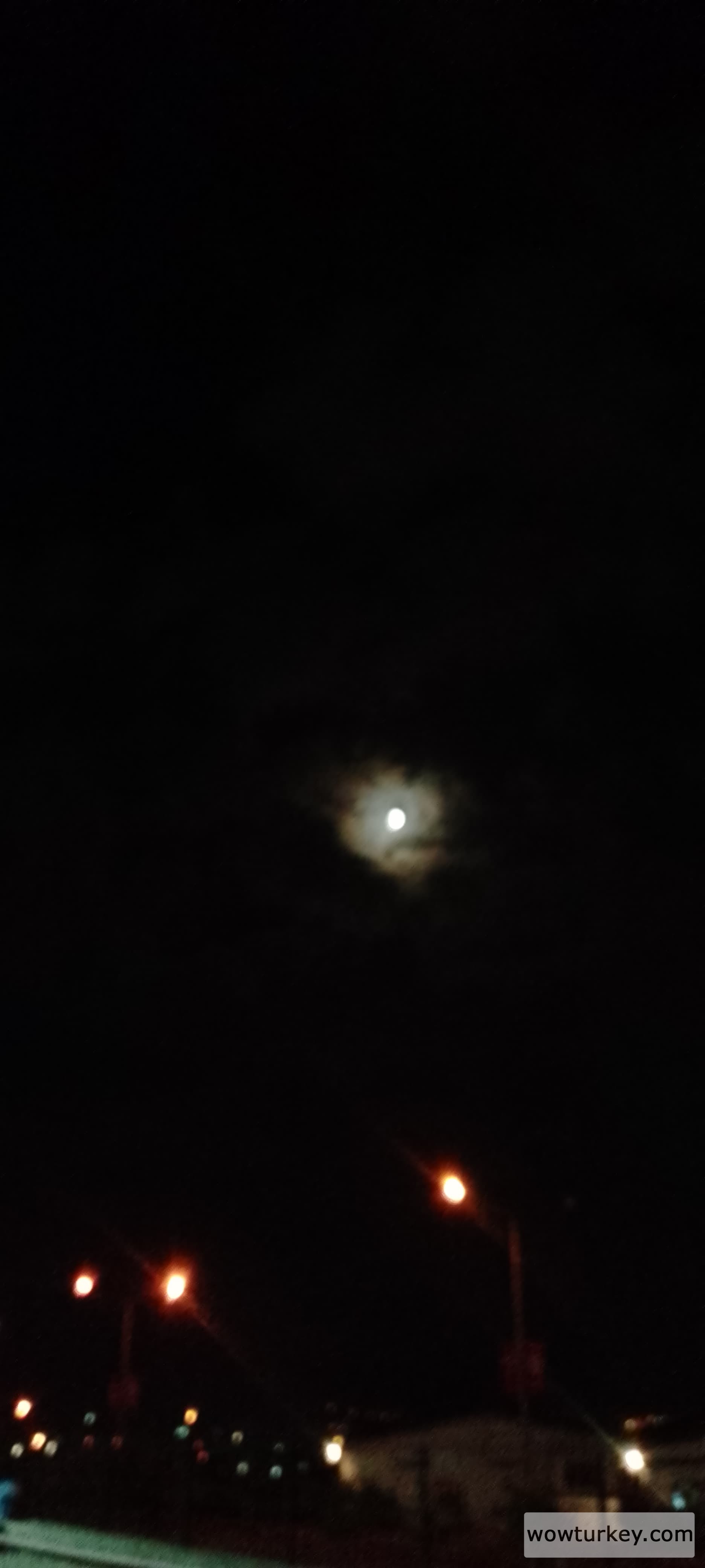 IMG_20240913_200835_478