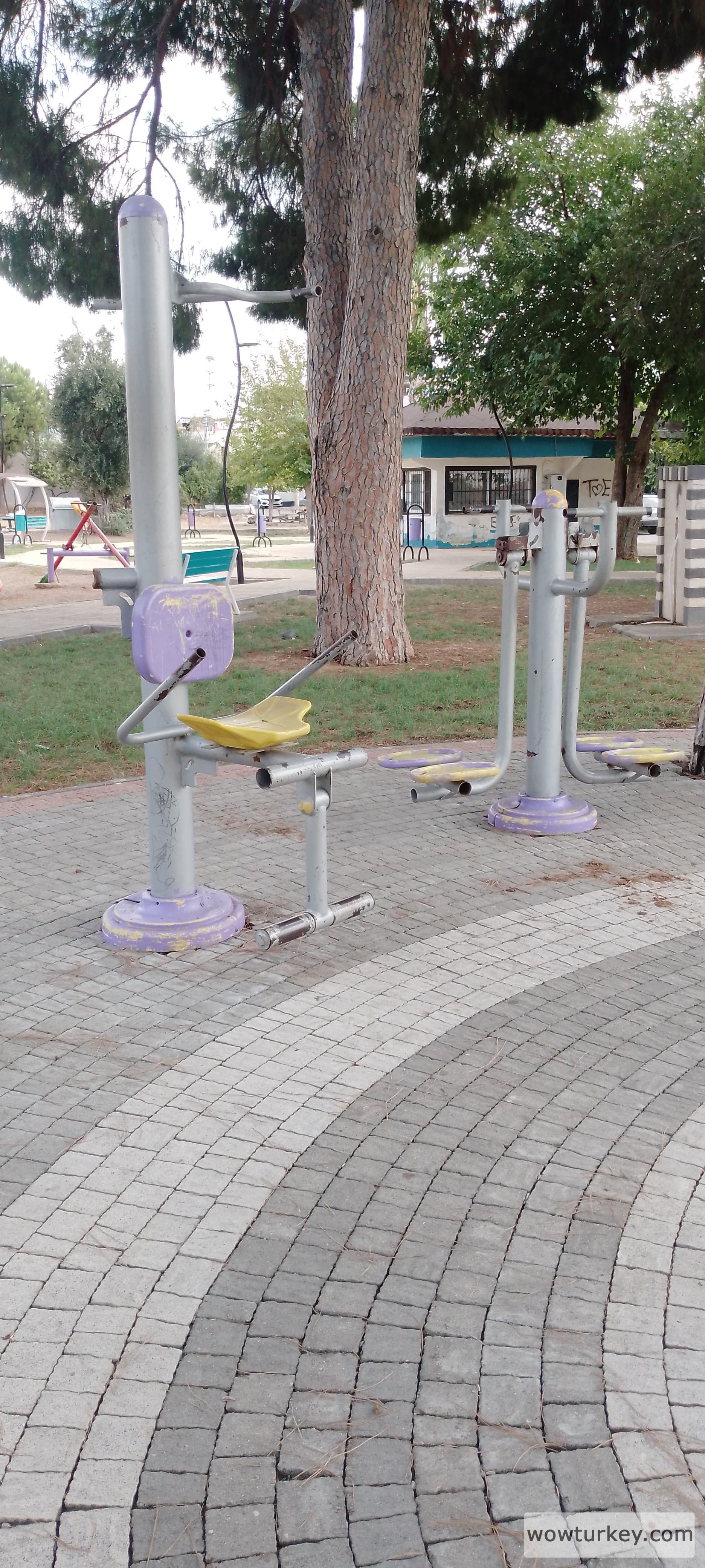 IMG_20240914_113156_994