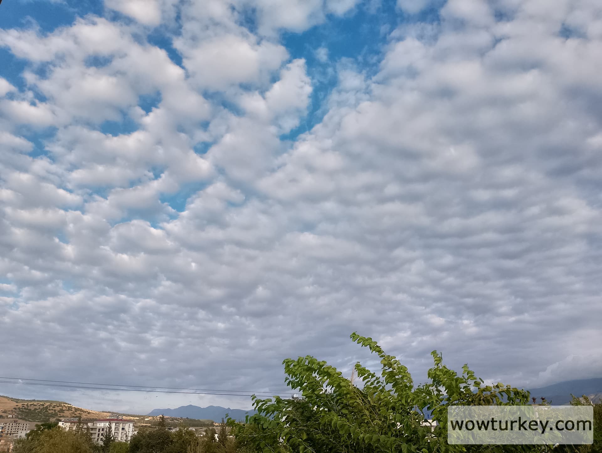 IMG_20240917_172914_HDR