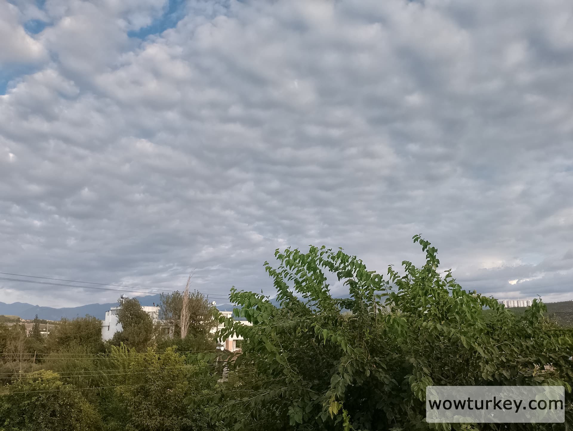 IMG_20240917_172928_HDR