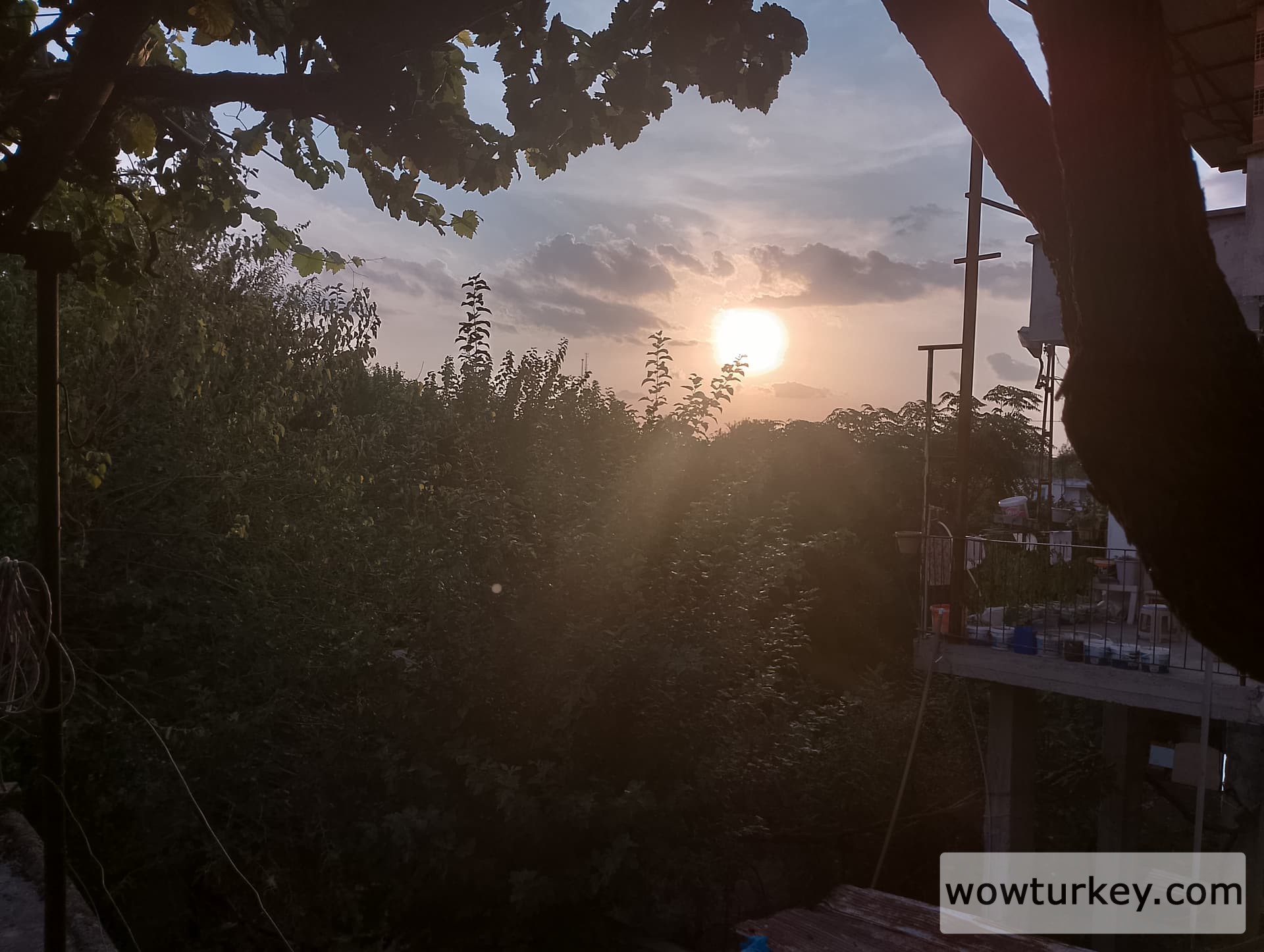 IMG_20240918_180123_HDR