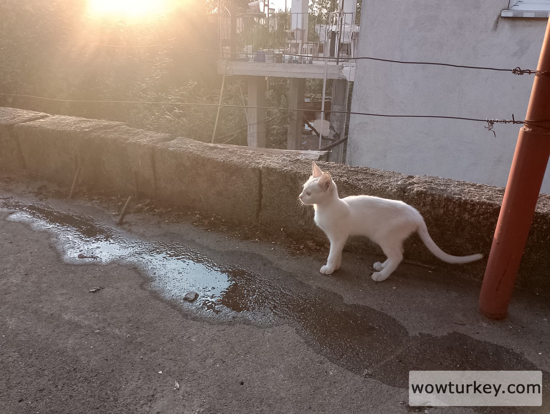 IMG_20240918_180223_HDR