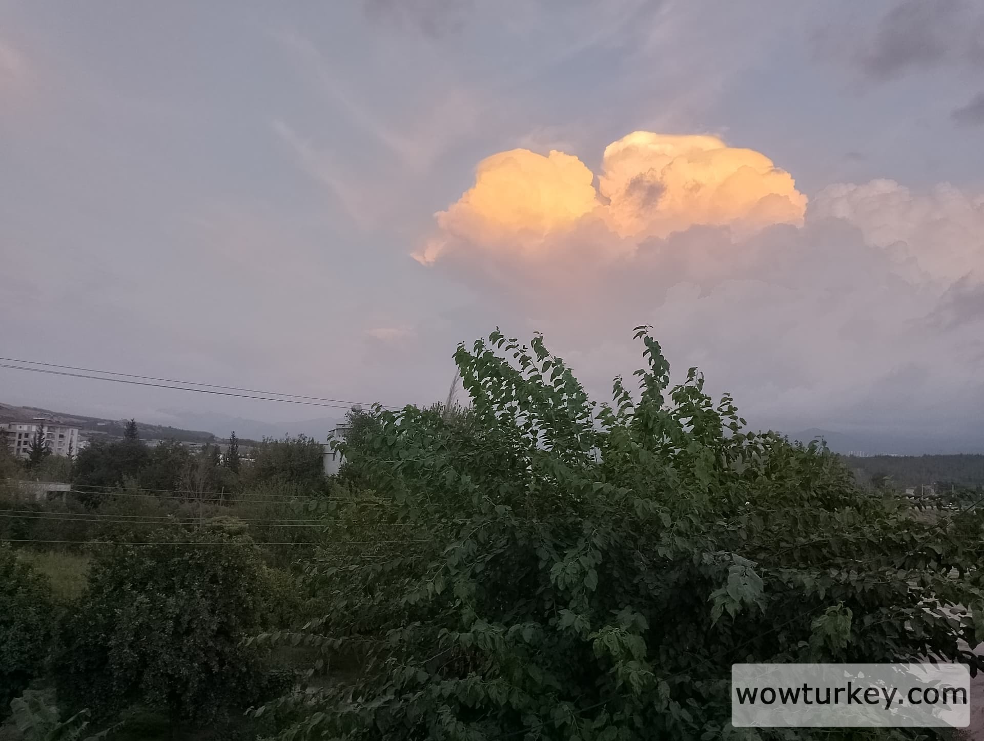 IMG_20240918_183616_HDR