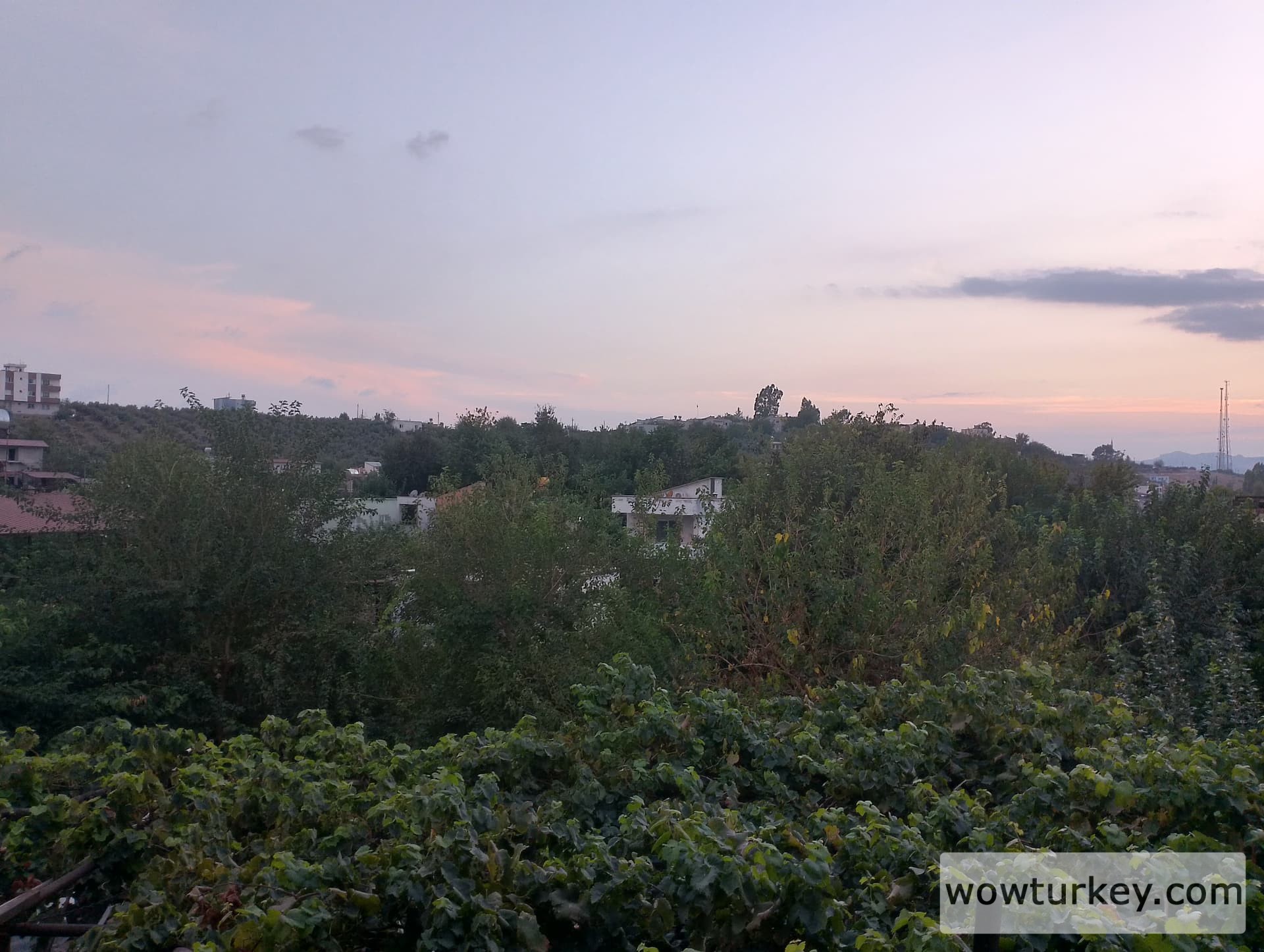 IMG_20240918_183700_HDR