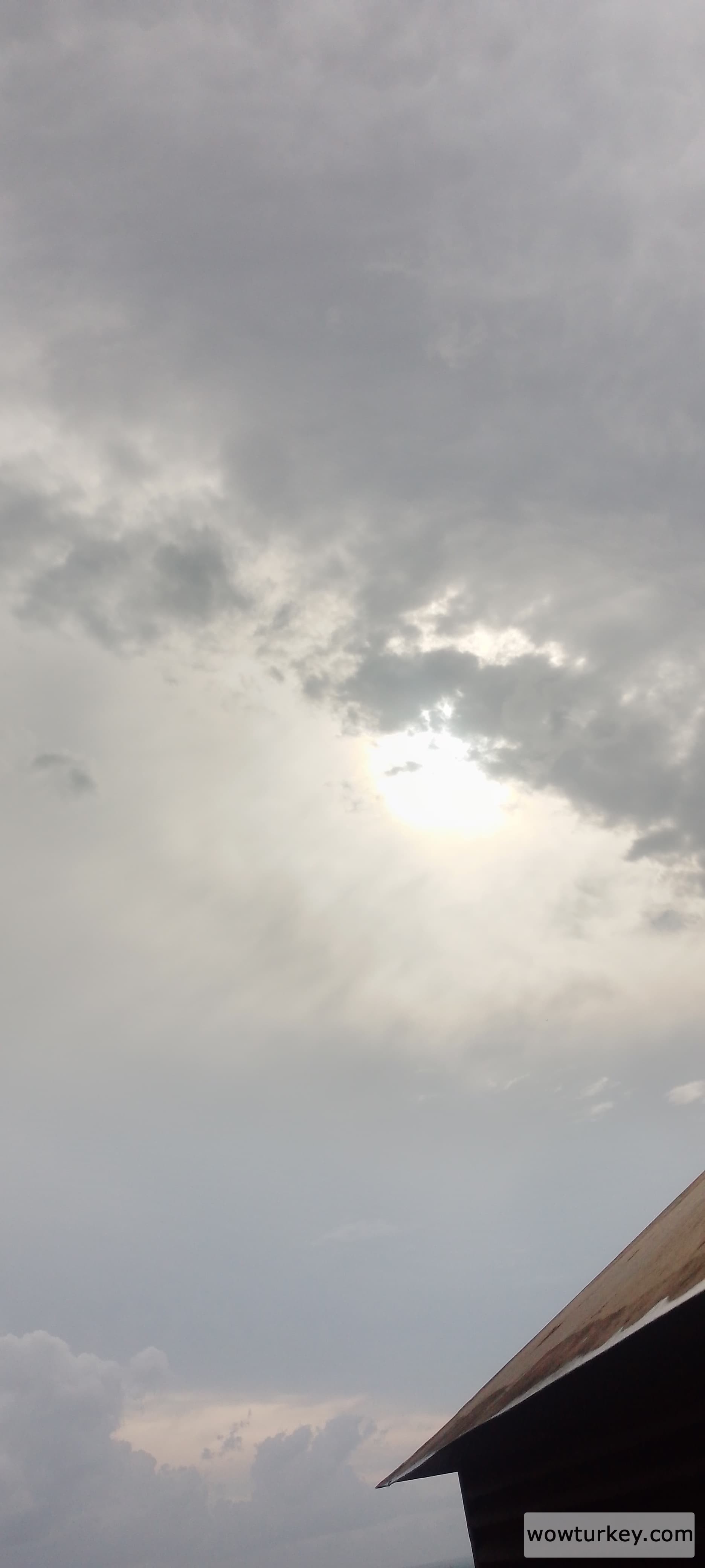 IMG_20240919_154316_219