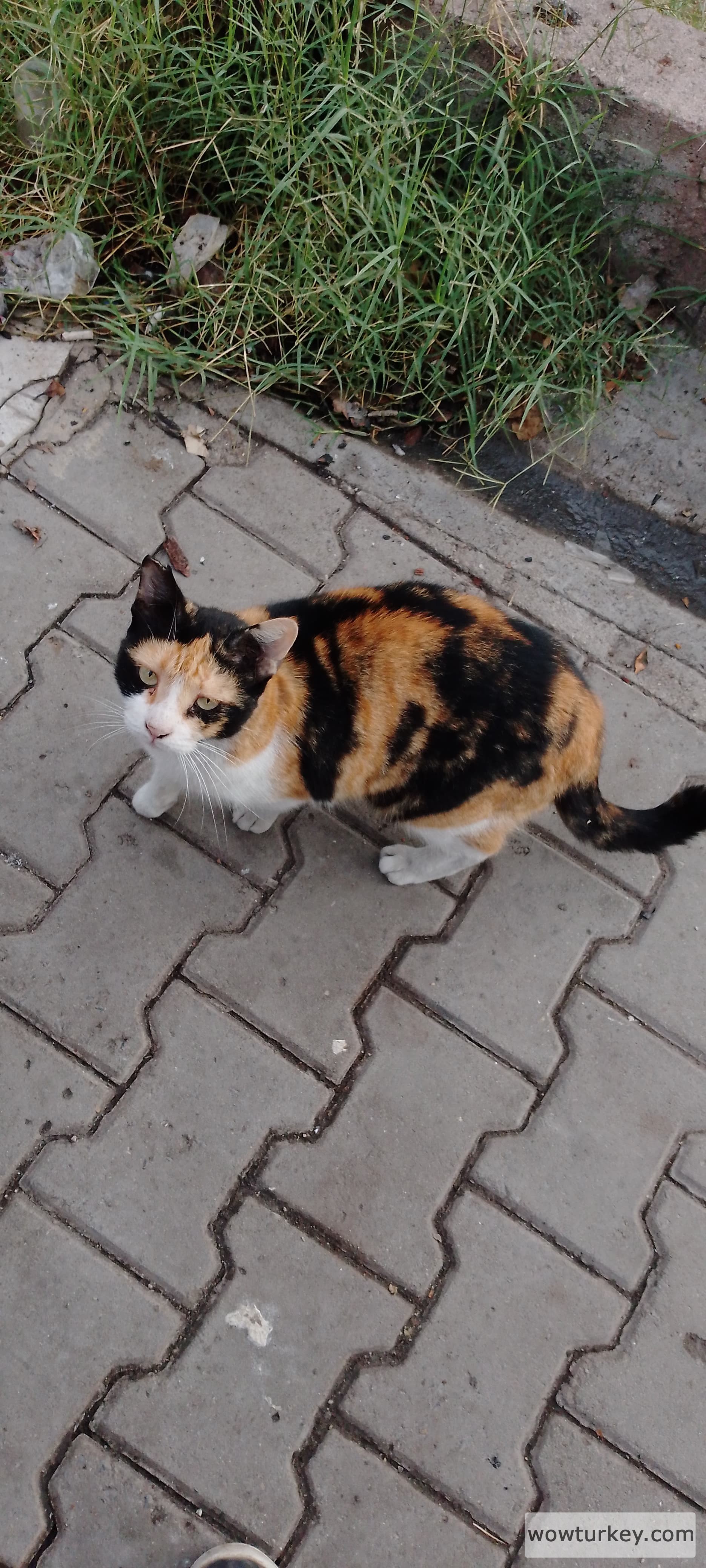 IMG_20240921_073126_413