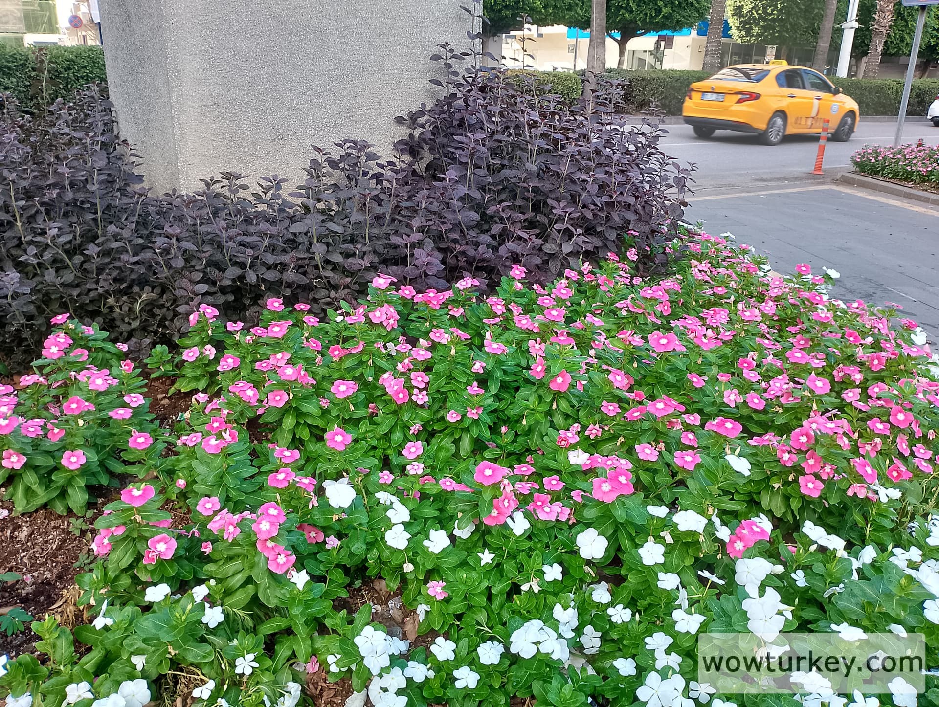 IMG_20240922_155318_HDR