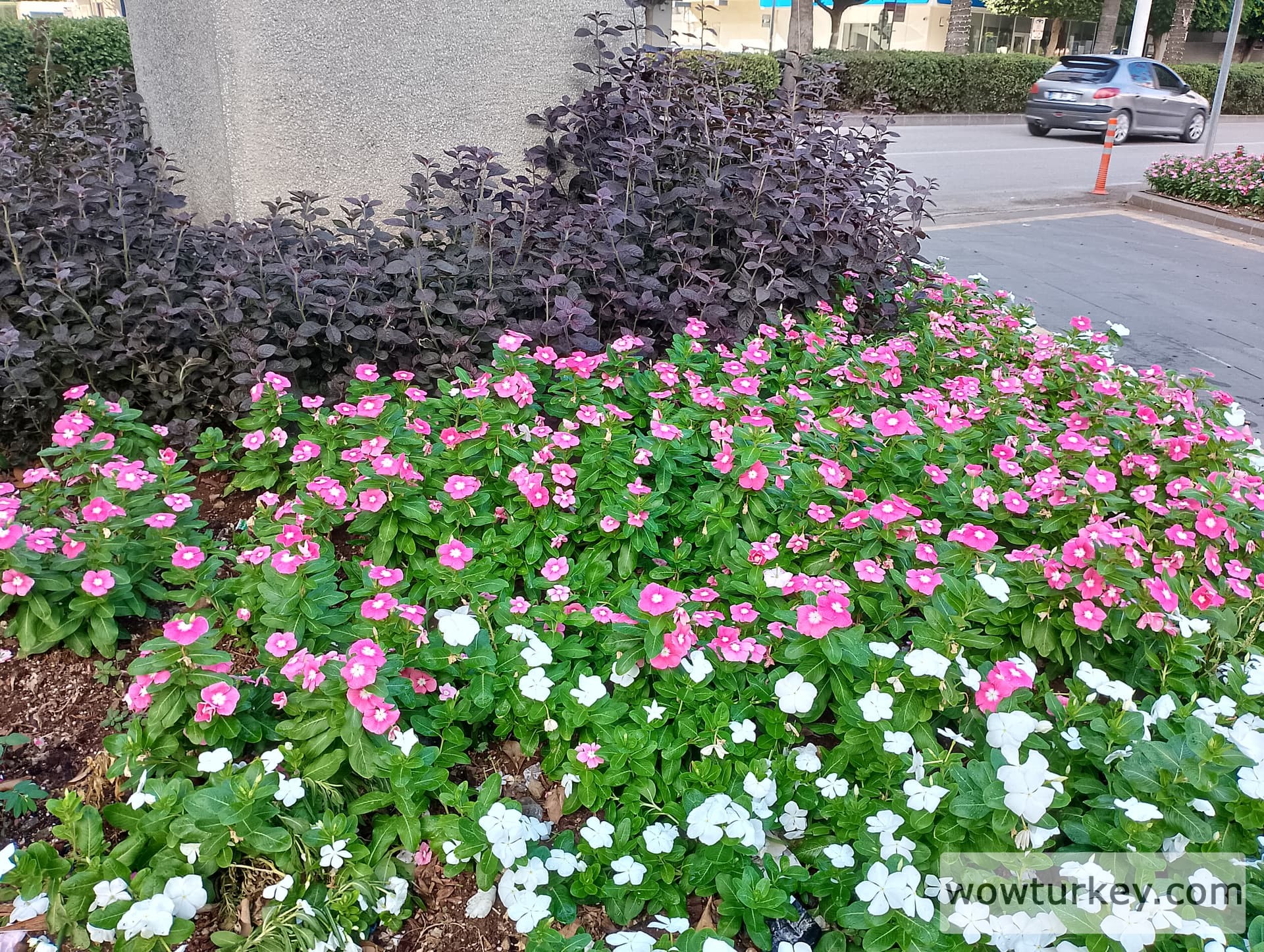 IMG_20240922_155320_HDR