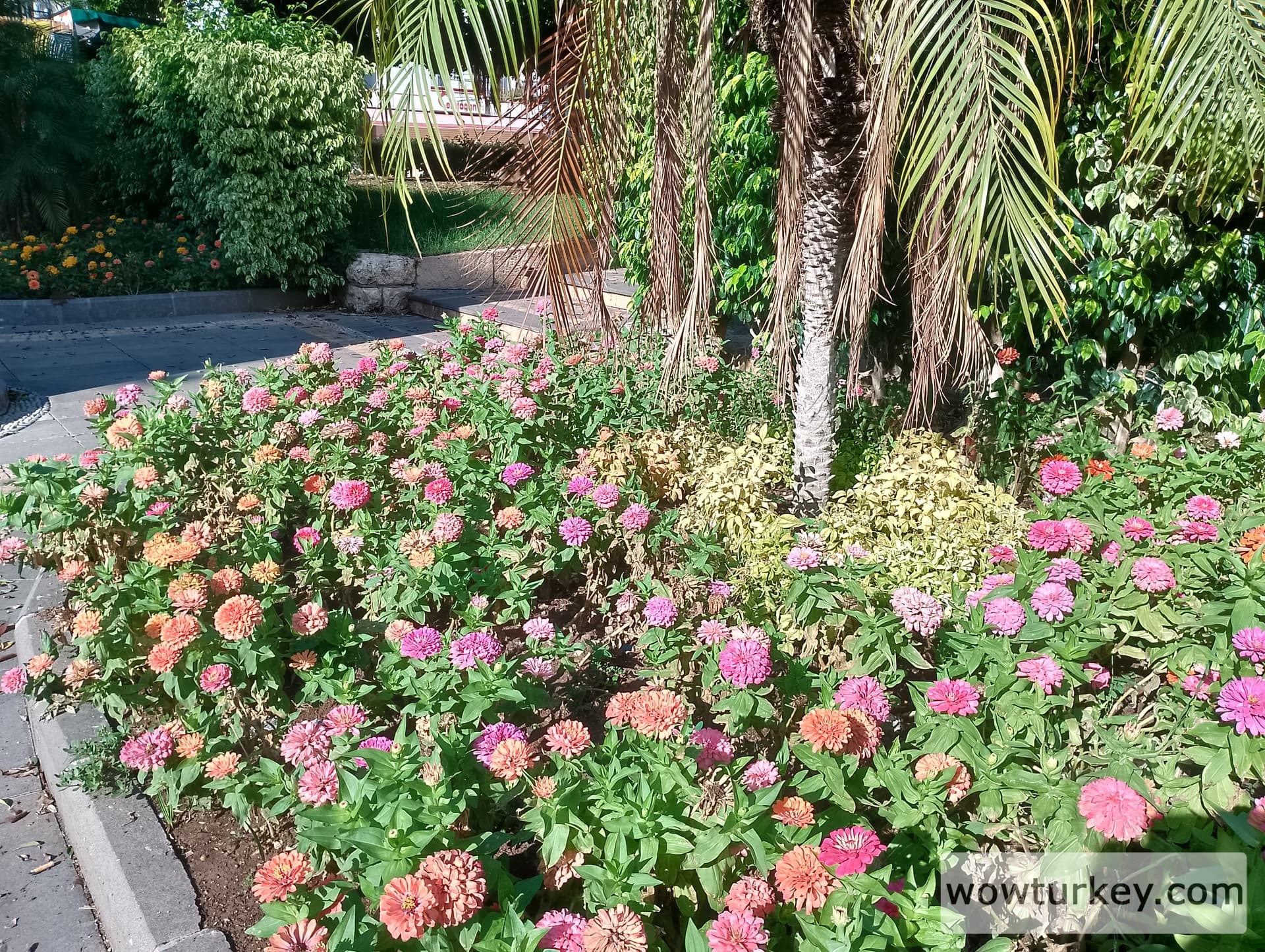 IMG_20240922_155441_HDR