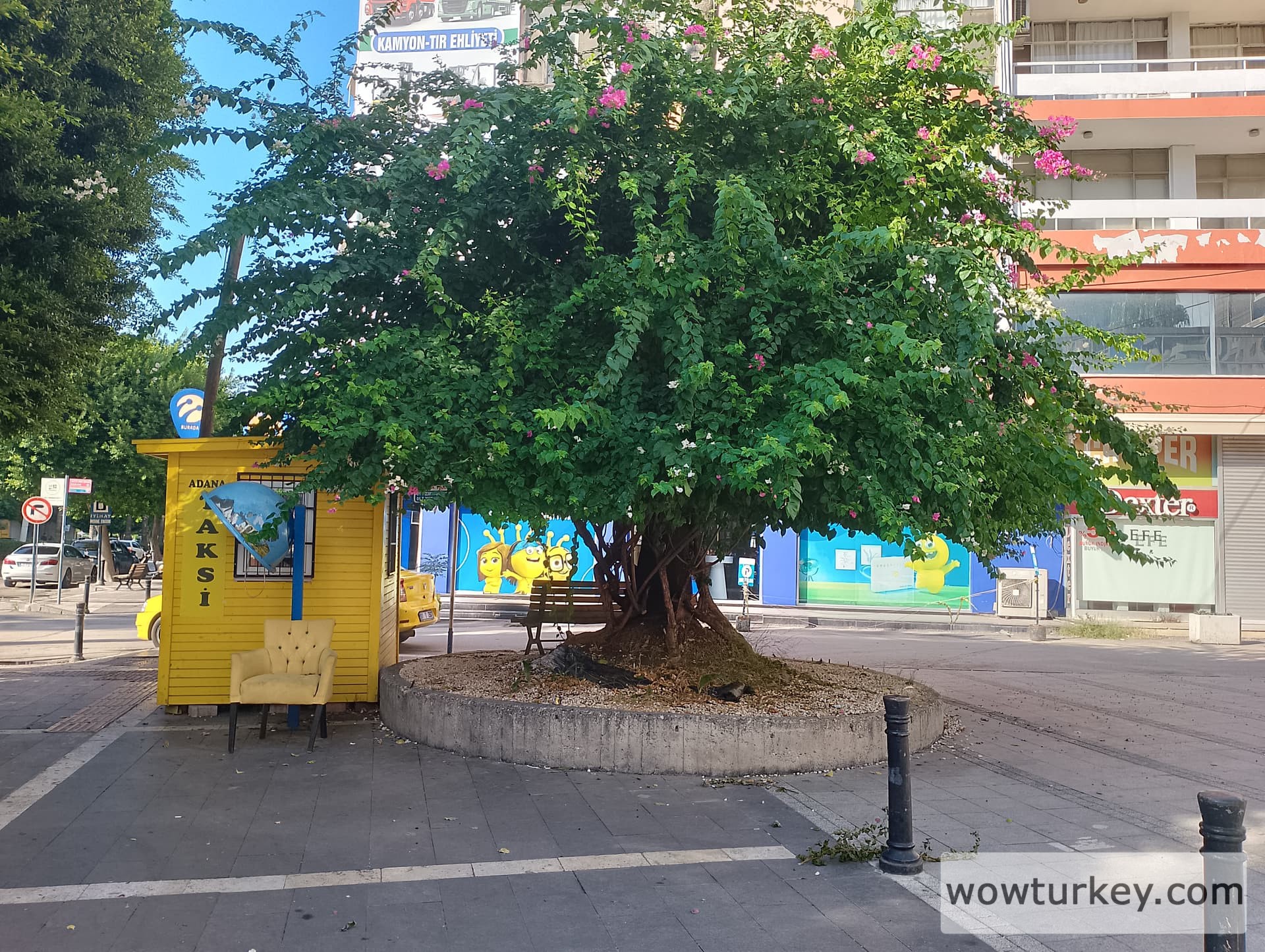 IMG_20240922_155622_HDR