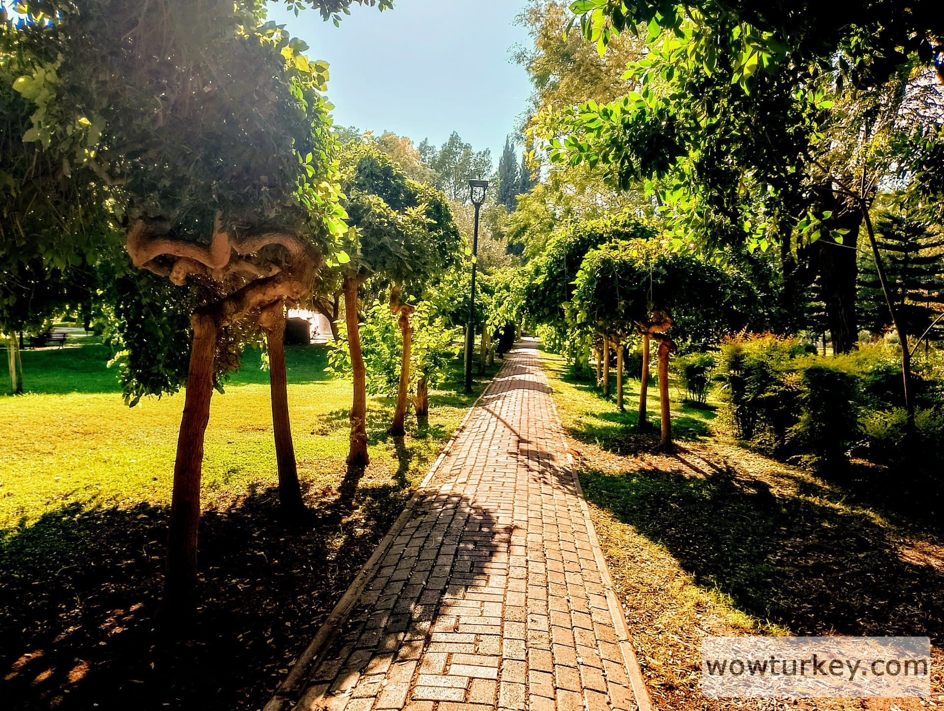 IMG_20240922_160200_HDR~3