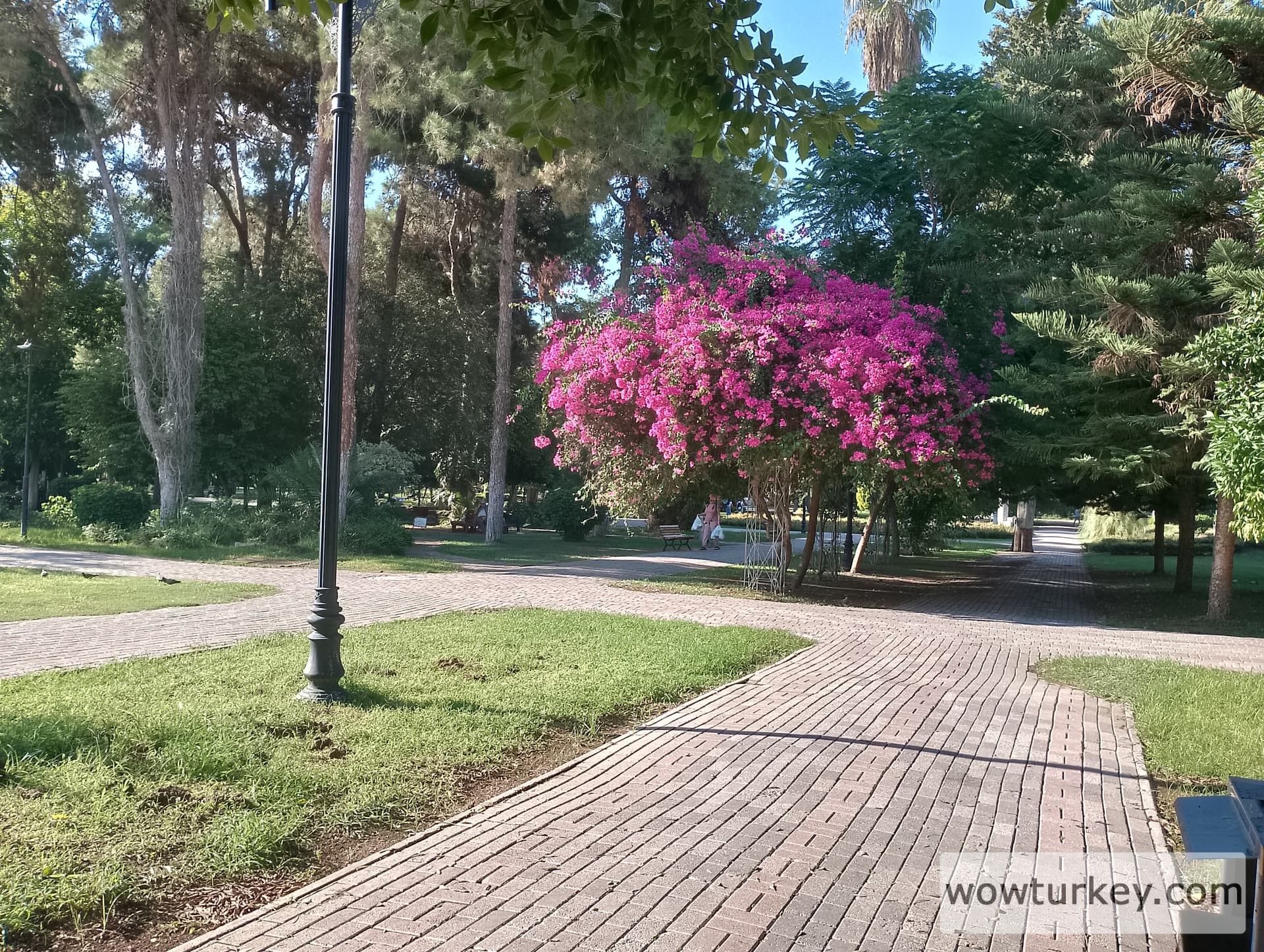 IMG_20240922_160237_HDR