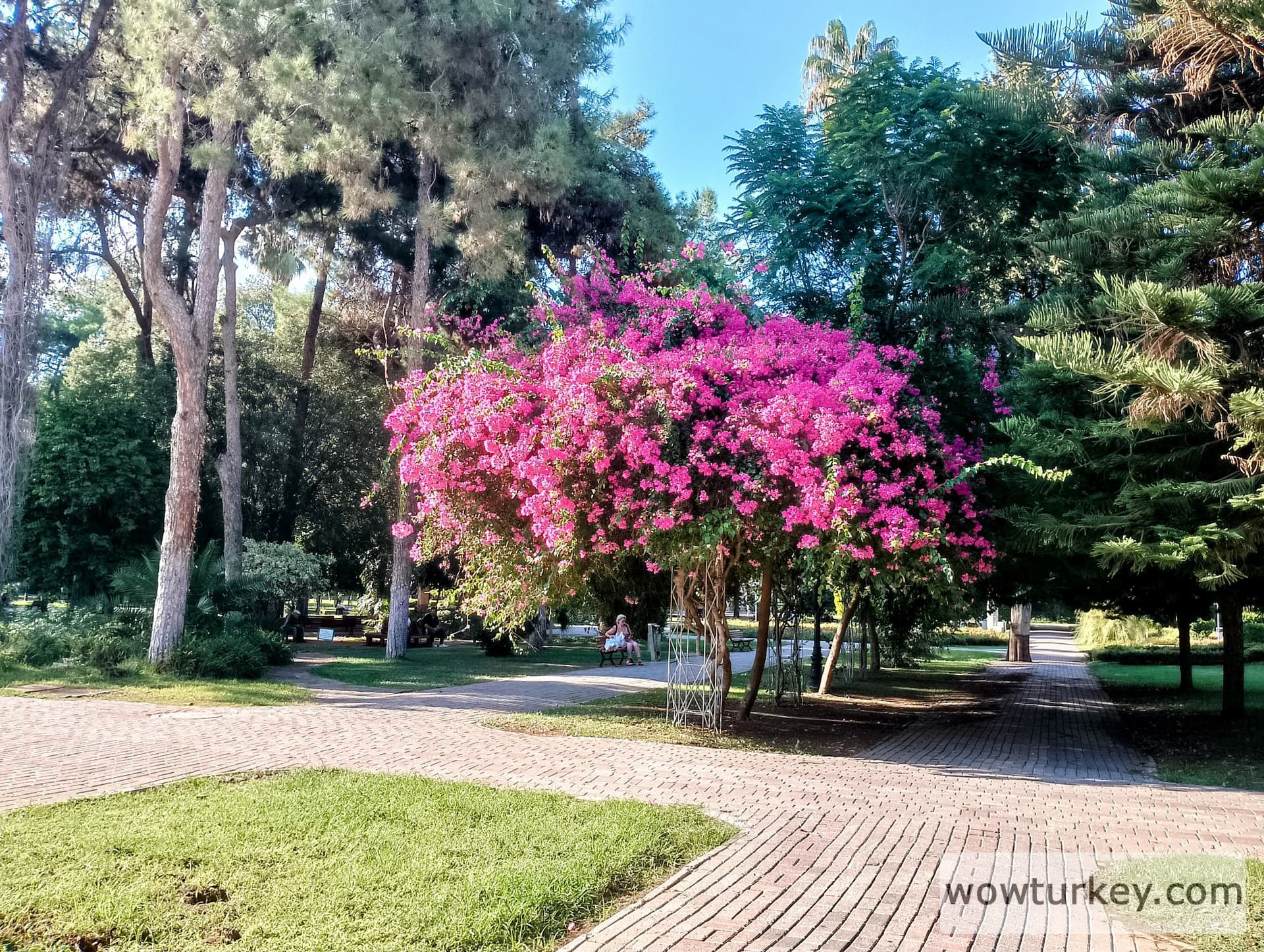 IMG_20240922_160247_HDR~2