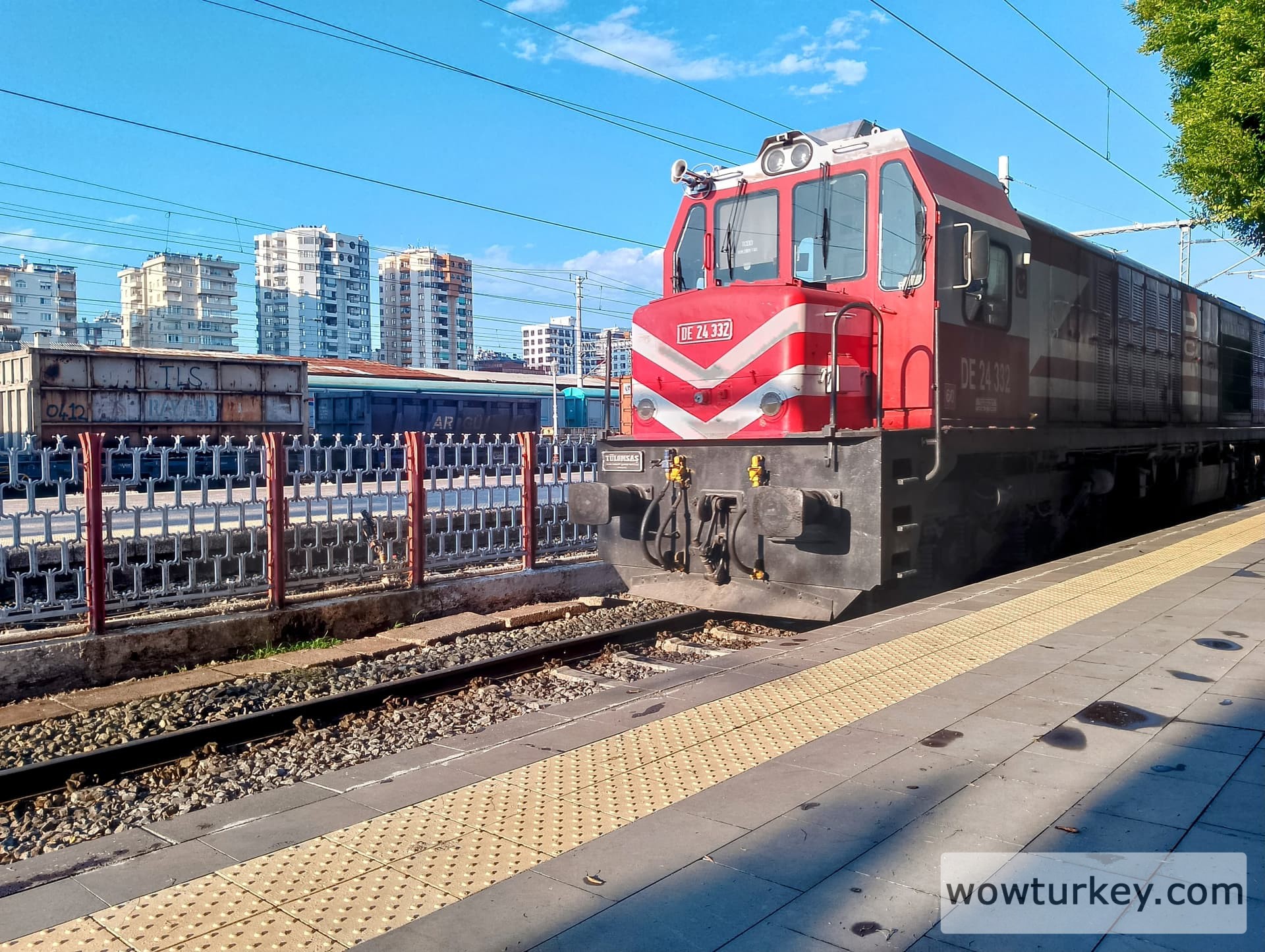 IMG_20240922_170930_HDR~2