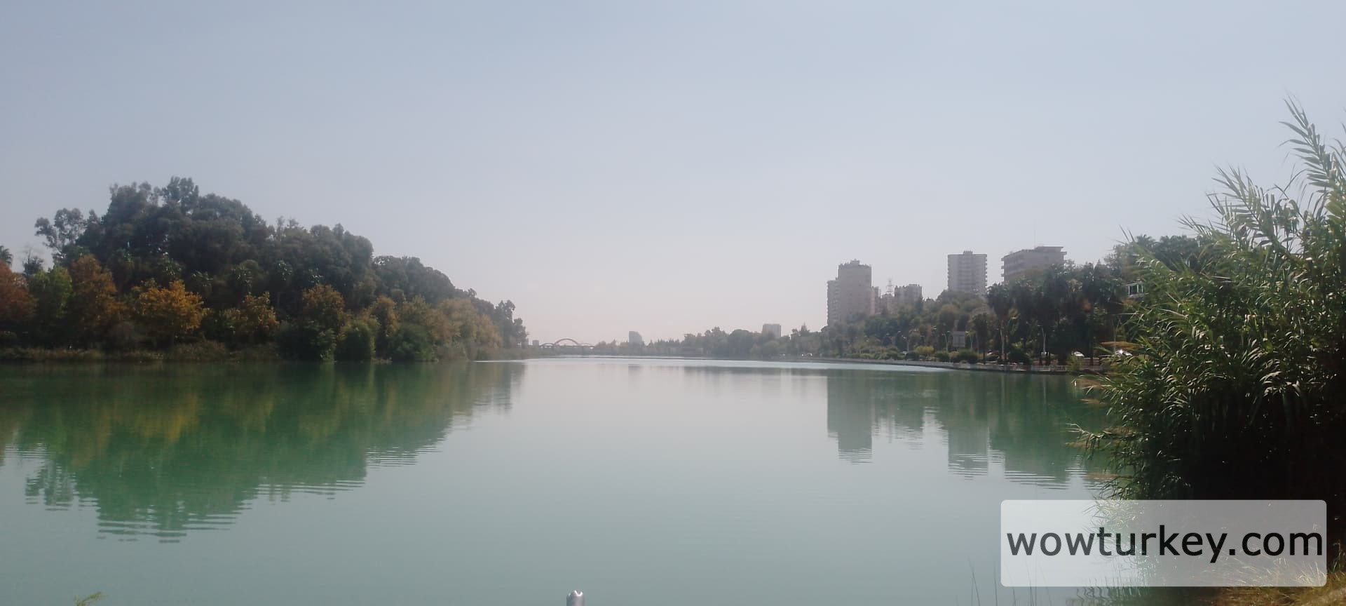 IMG_20240923_123853_512