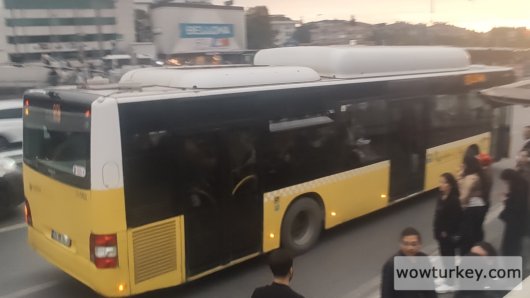 IMG_20241001_181028 (1).jpg