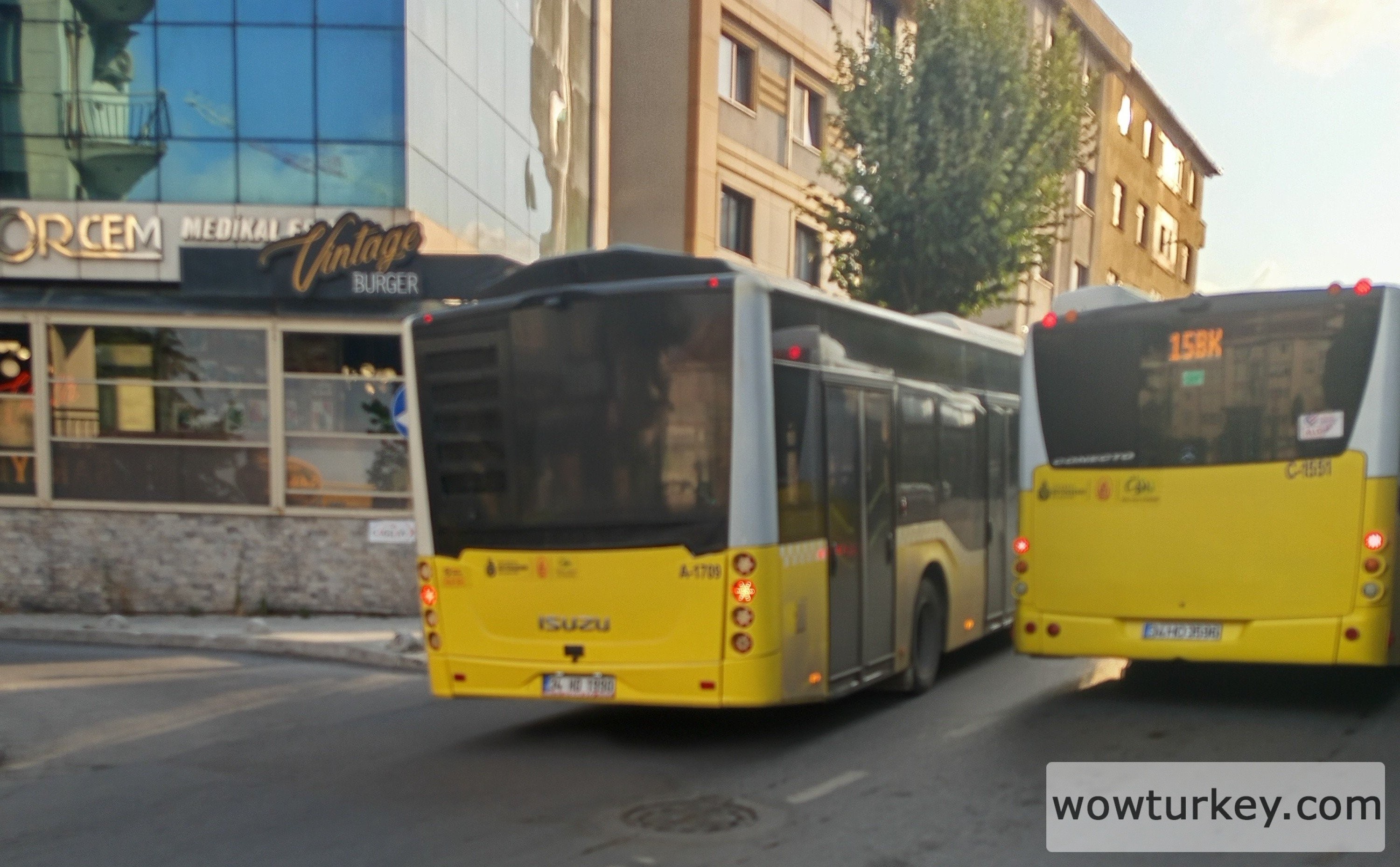 IMG_20250808_120904 (1).jpg