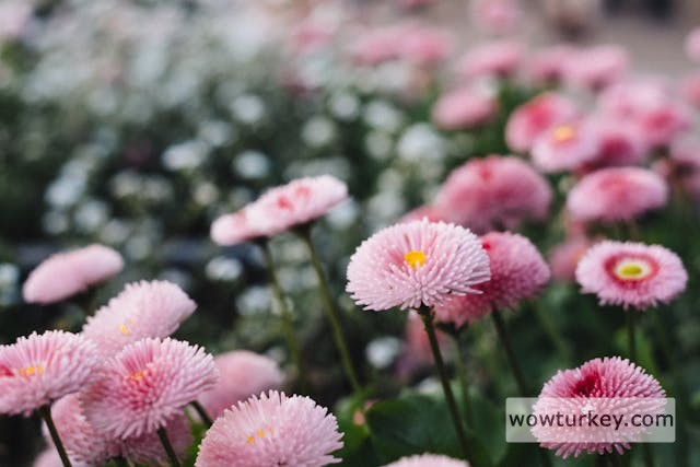 IMG_202540828_175635_HDR