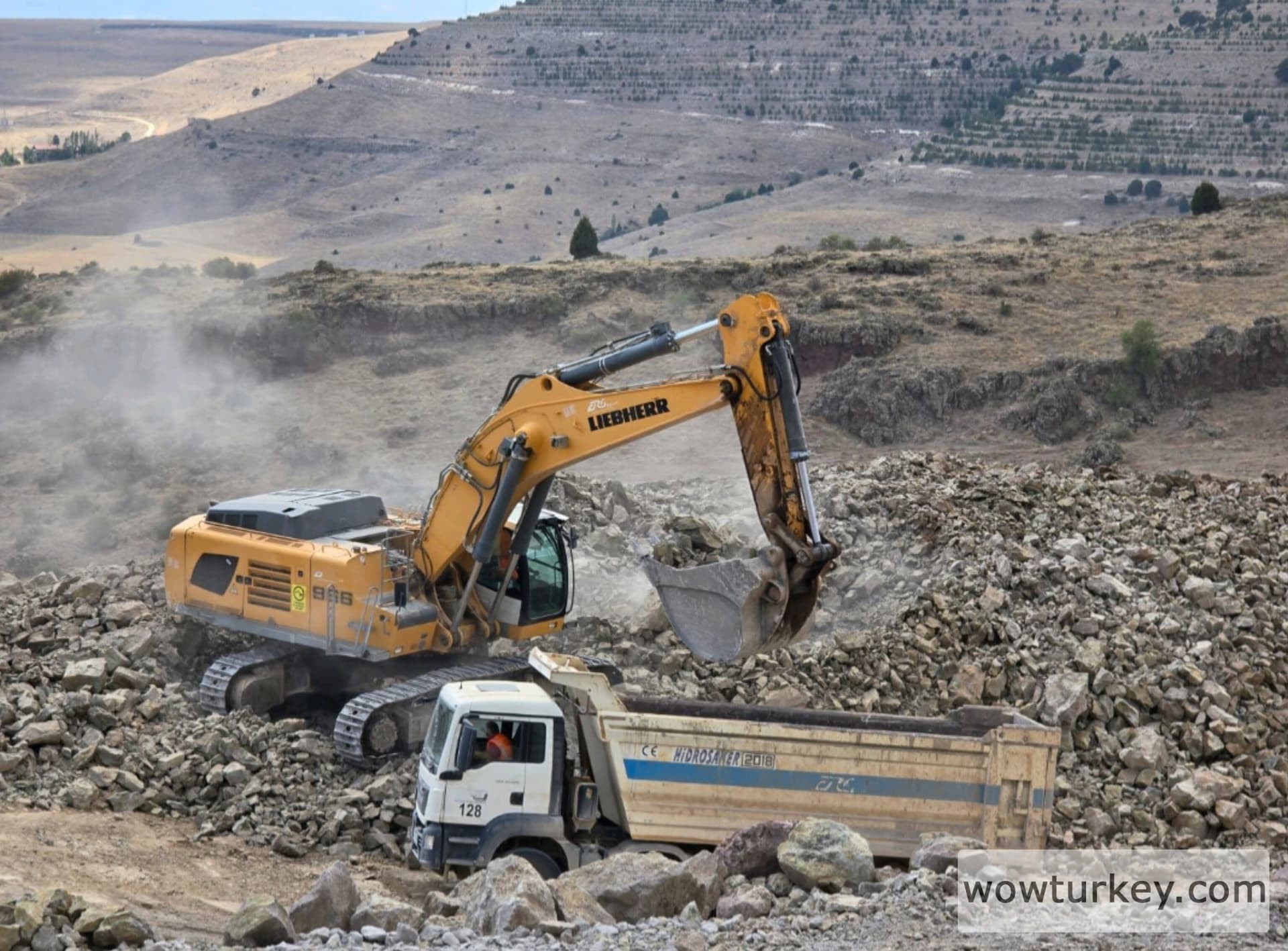 InShot_20240801_171659677