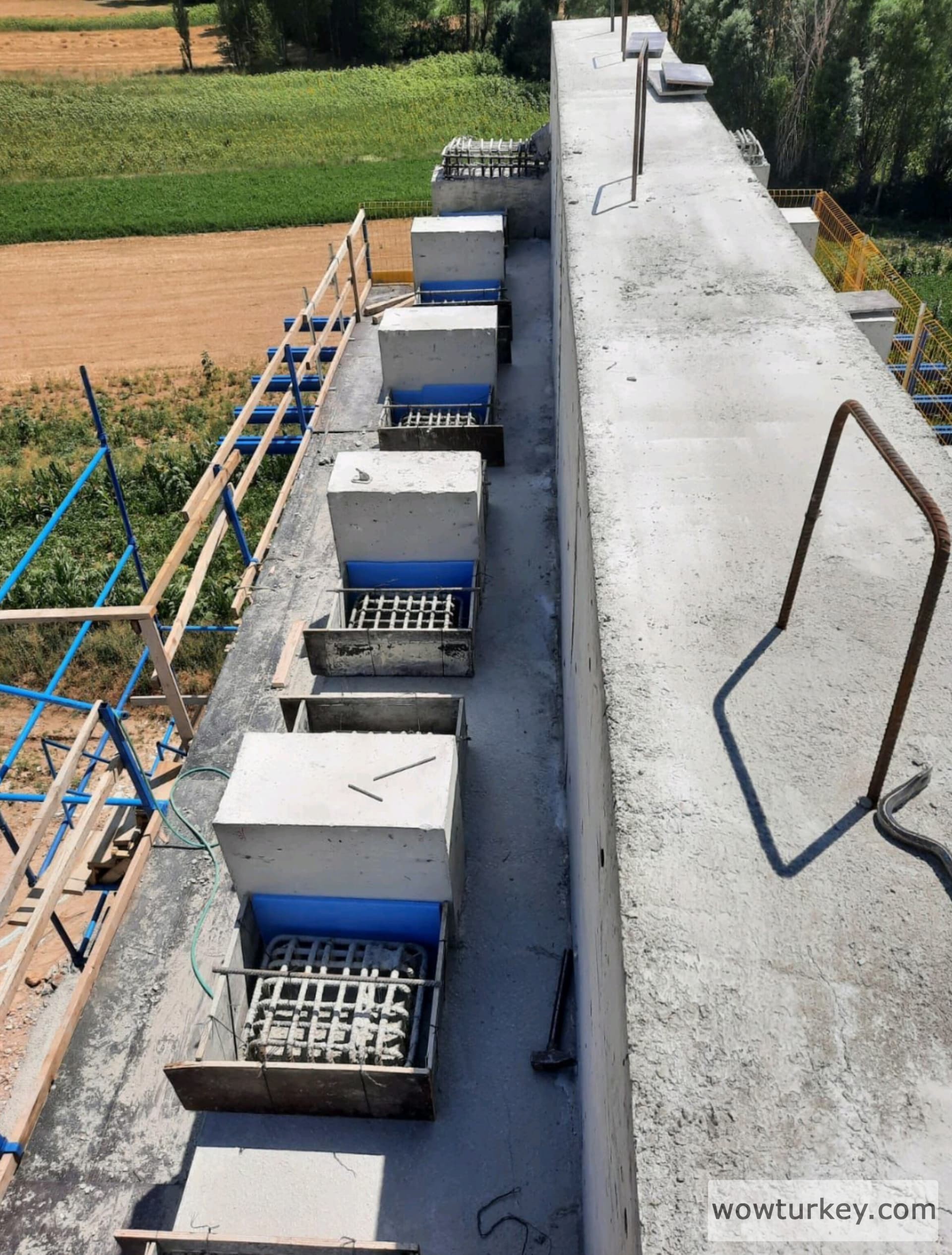 InShot_20240801_171845678