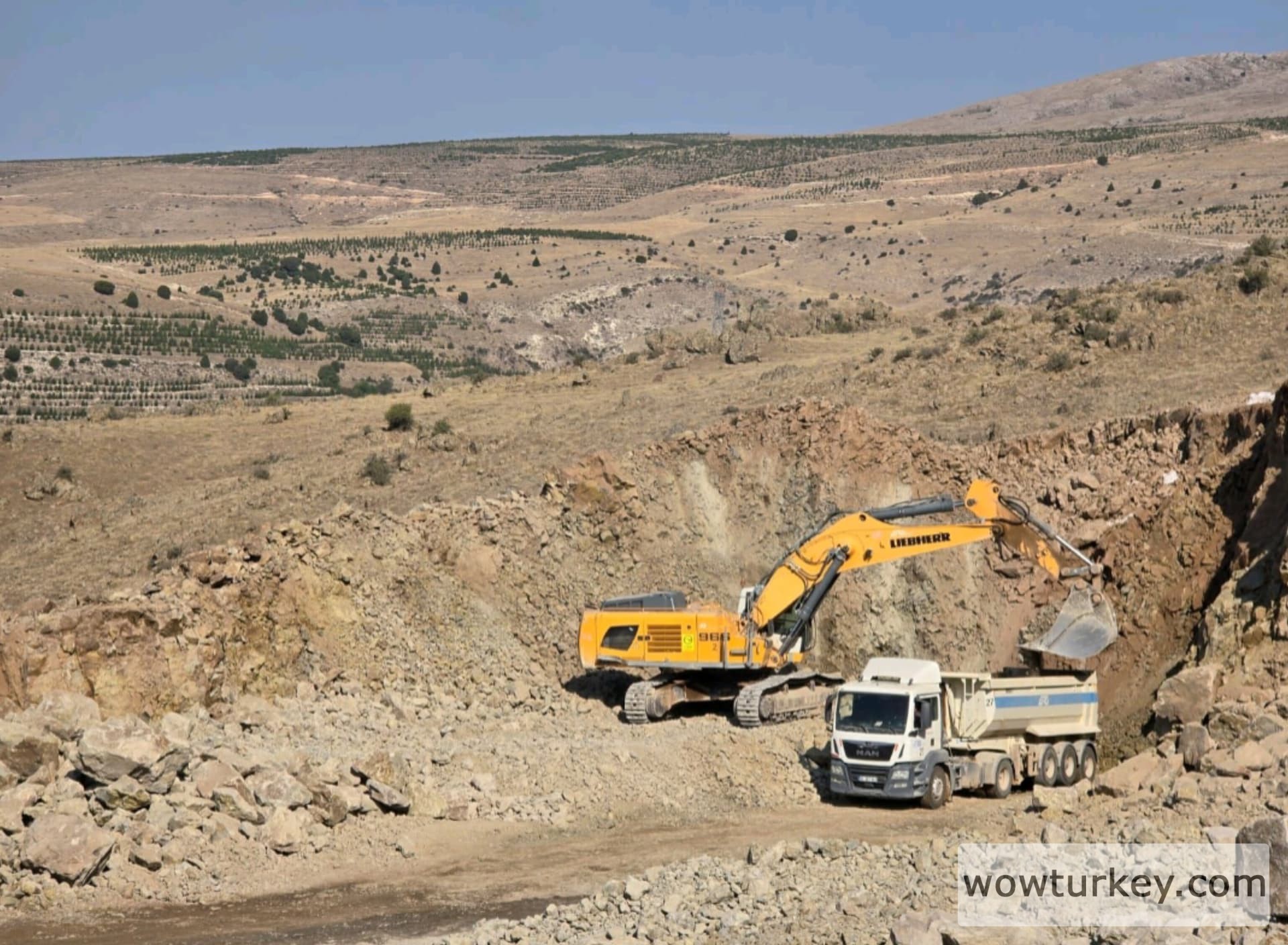 InShot_20240806_182738702