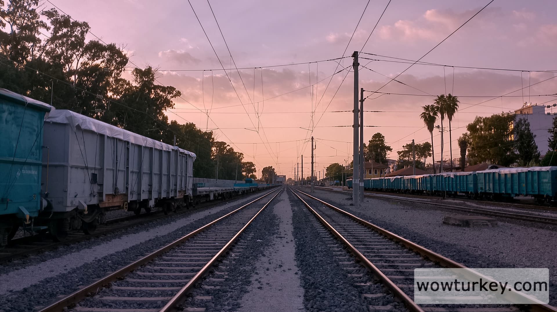 InShot_20240911_193626482