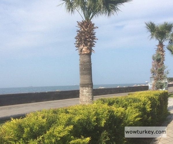 iskenderun-sahili.jpg